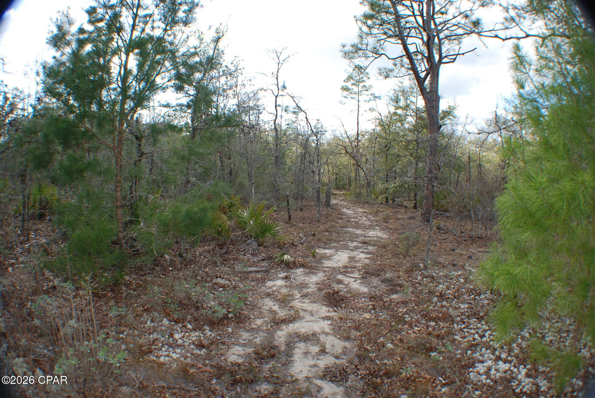 Image 15 For 0 Dickerson Road