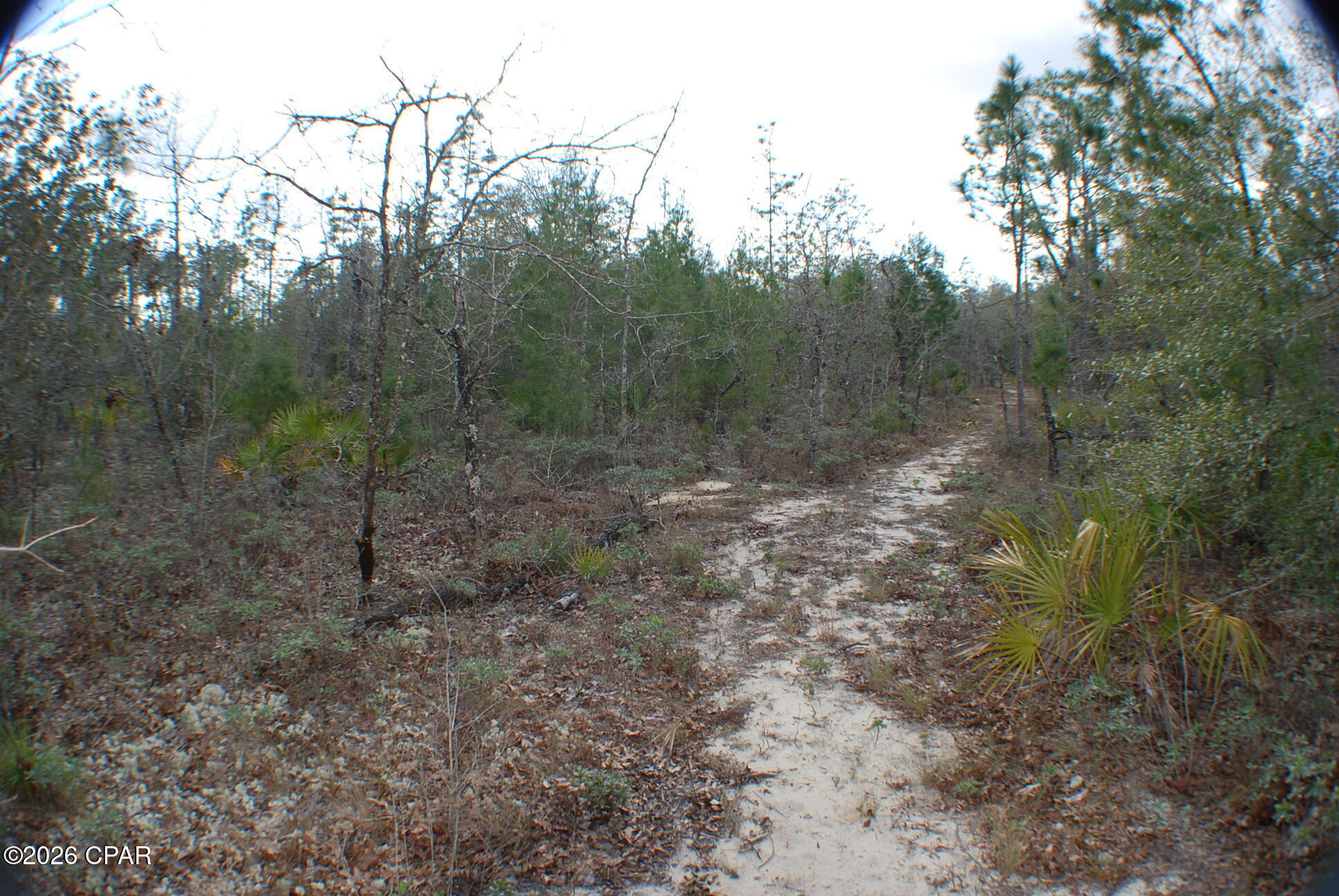 Image 16 For 0 Dickerson Road