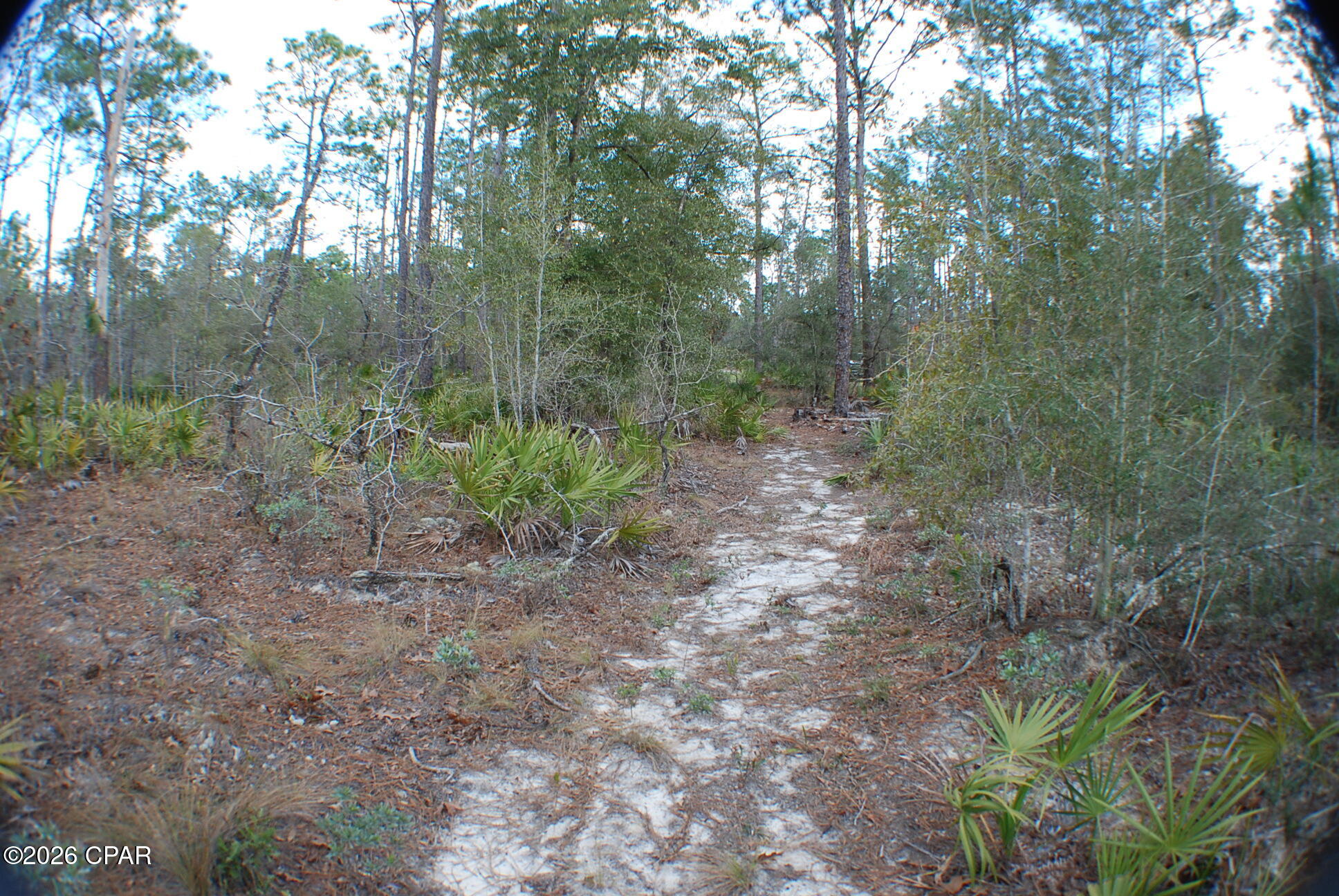 Image 17 For 0 Dickerson Road