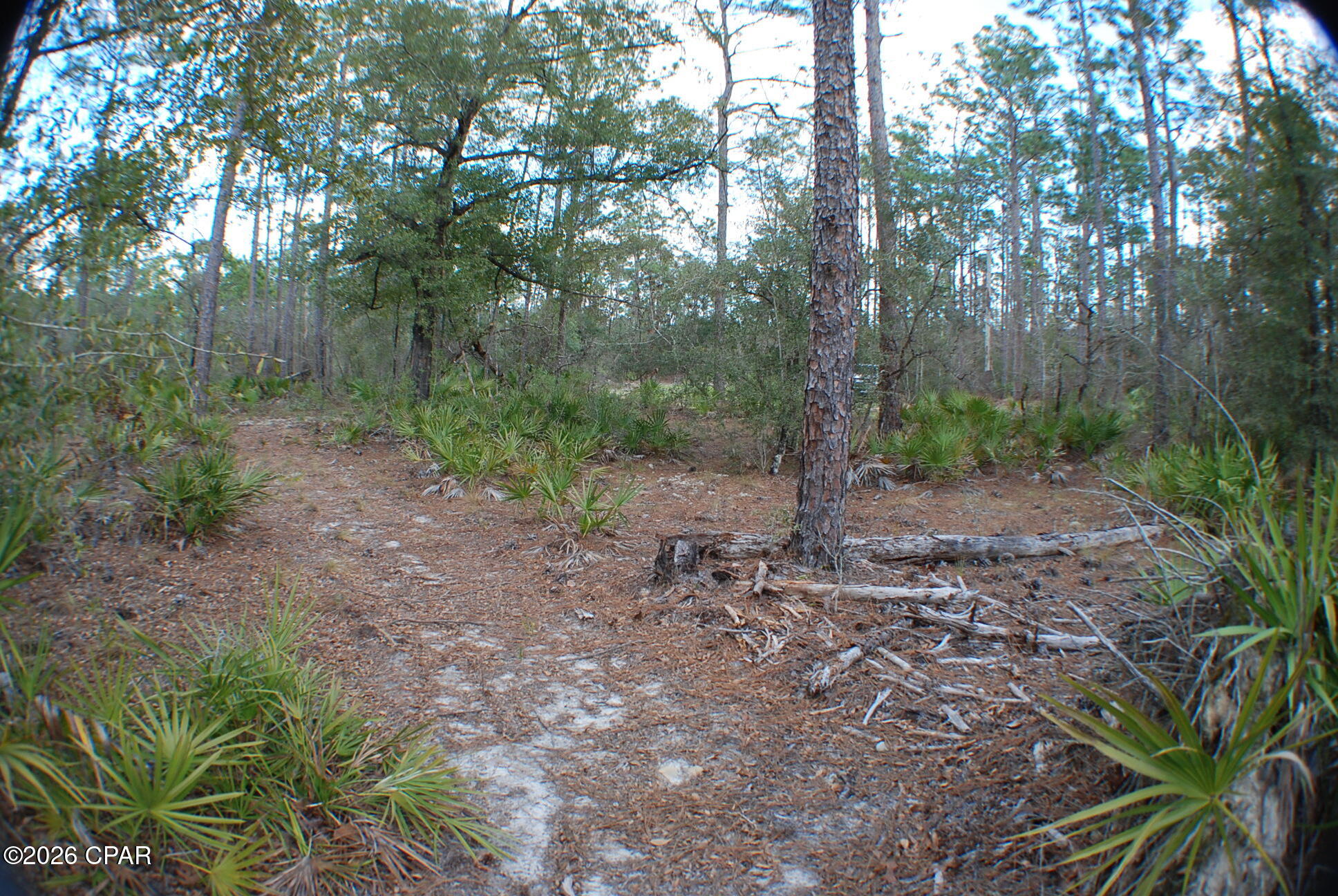 Image 18 For 0 Dickerson Road