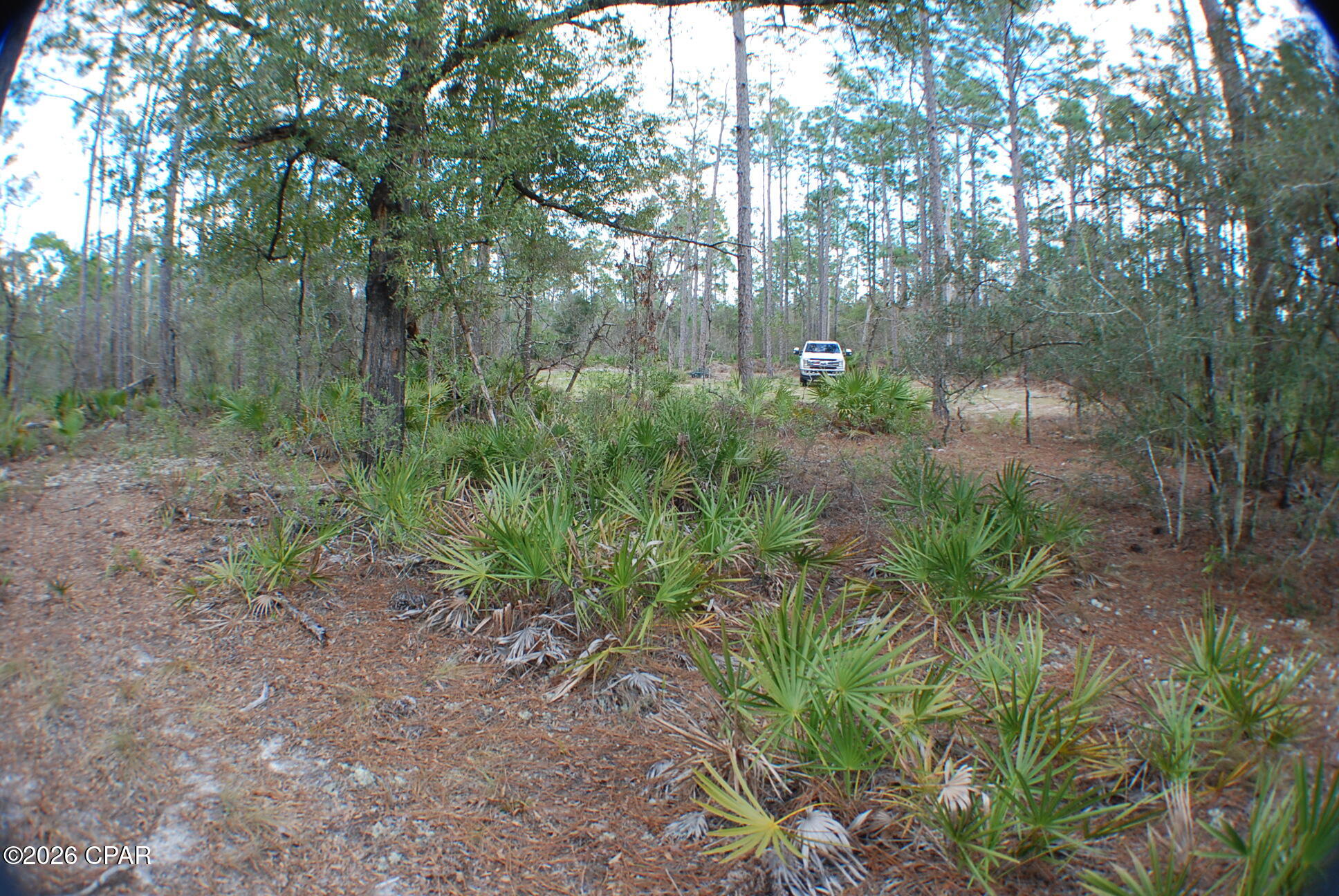 Image 19 For 0 Dickerson Road