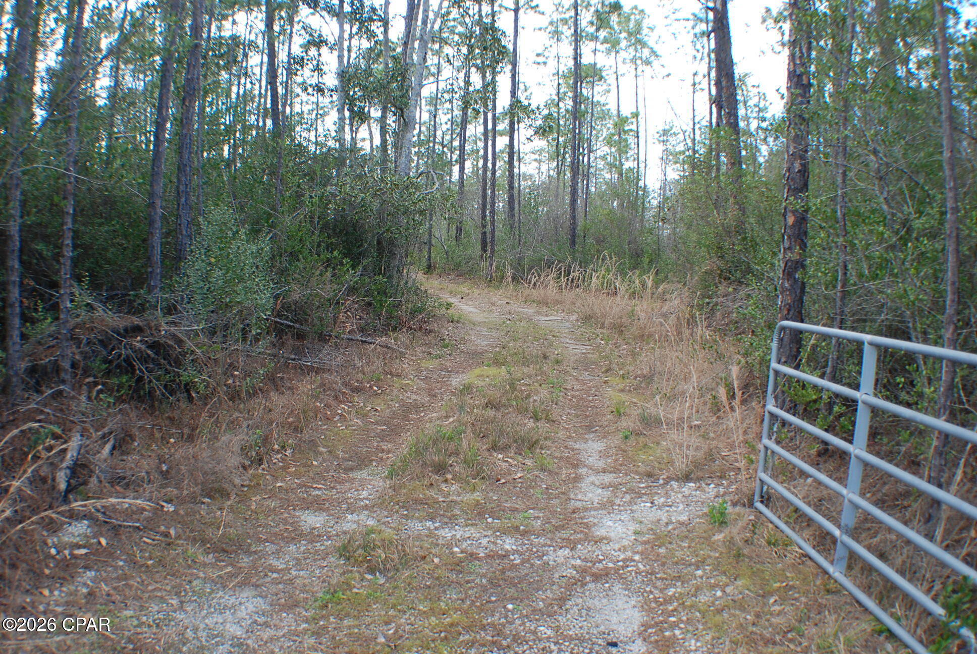 Image 3 For 0 Dickerson Road