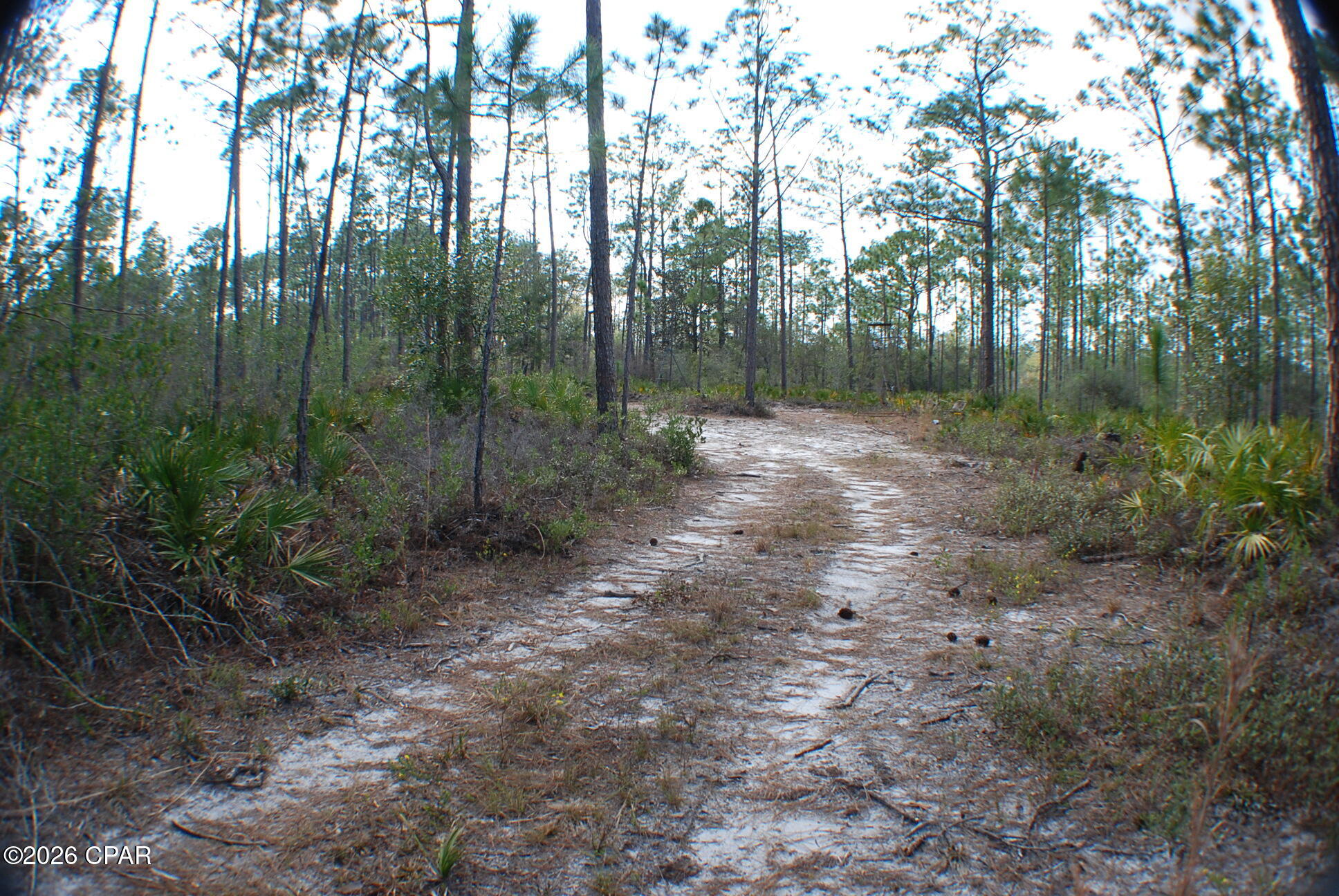 Image 5 For 0 Dickerson Road