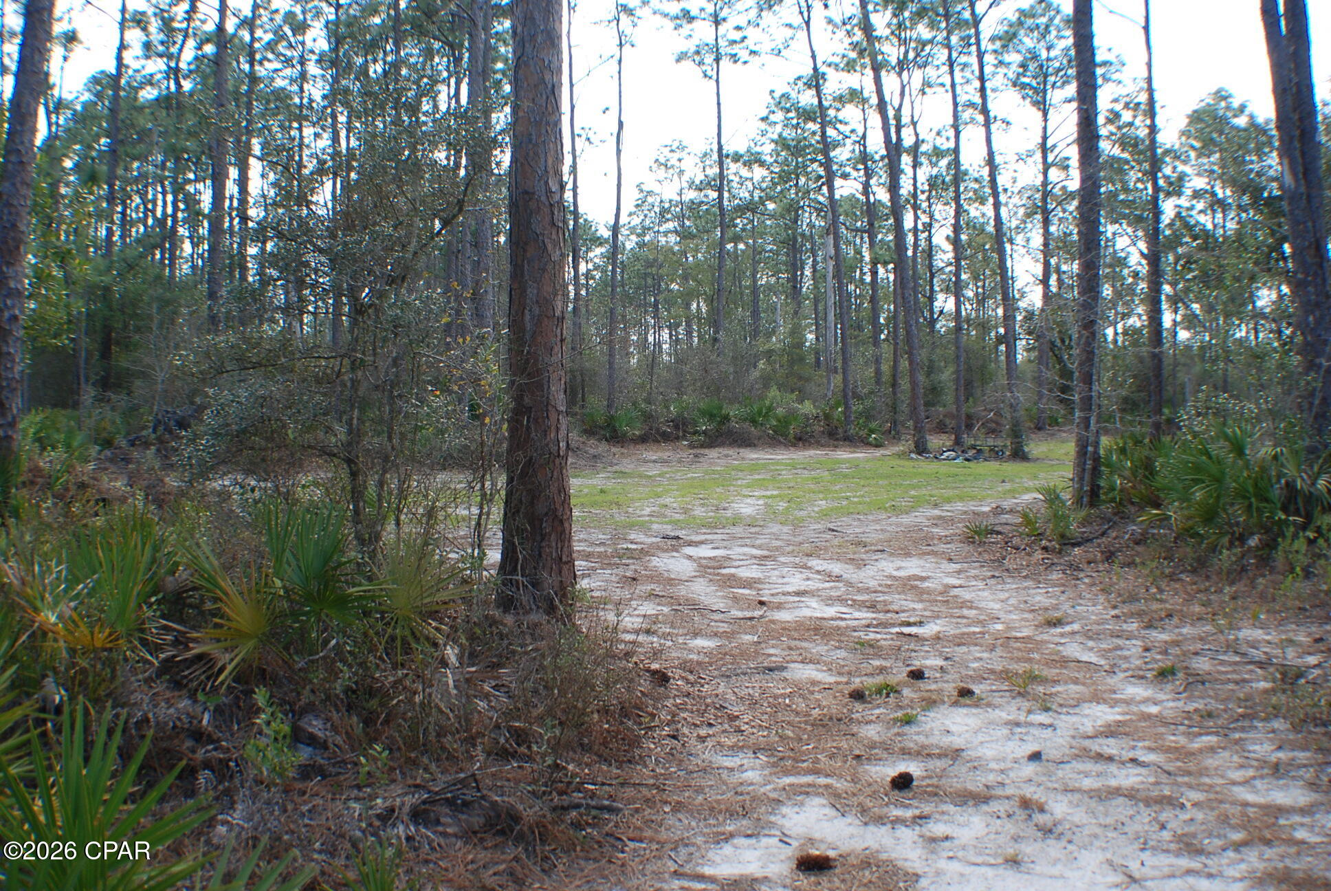 Image 7 For 0 Dickerson Road