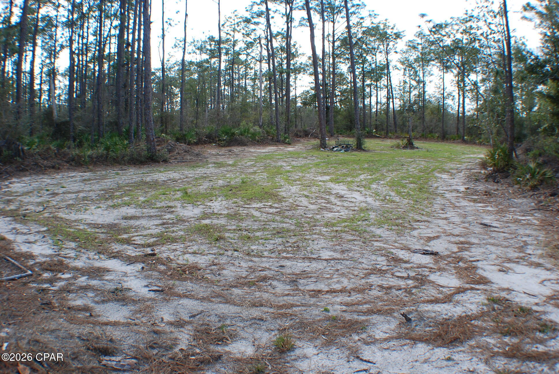 Image 8 For 0 Dickerson Road