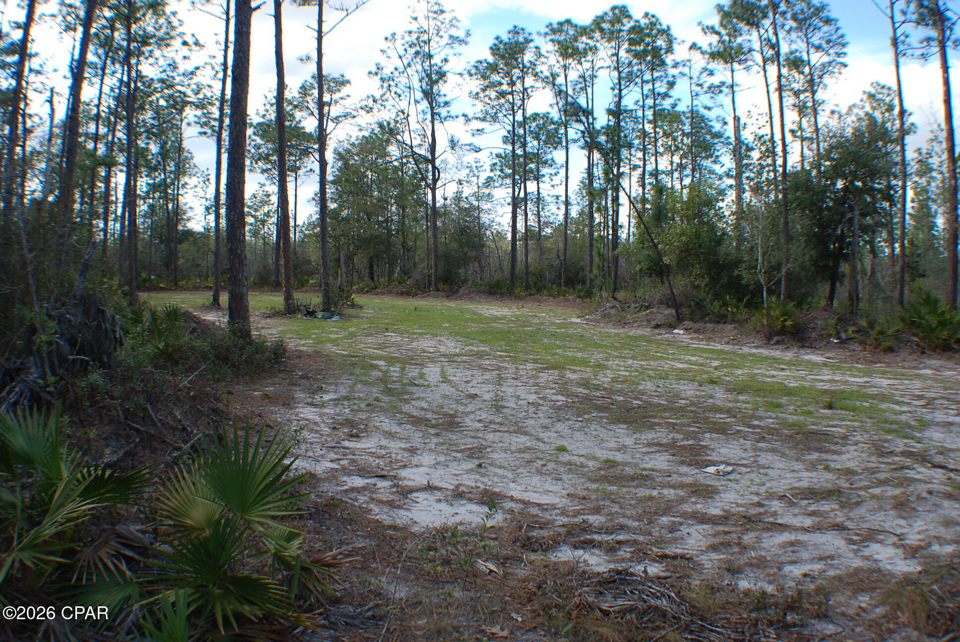 Image 9 For 0 Dickerson Road