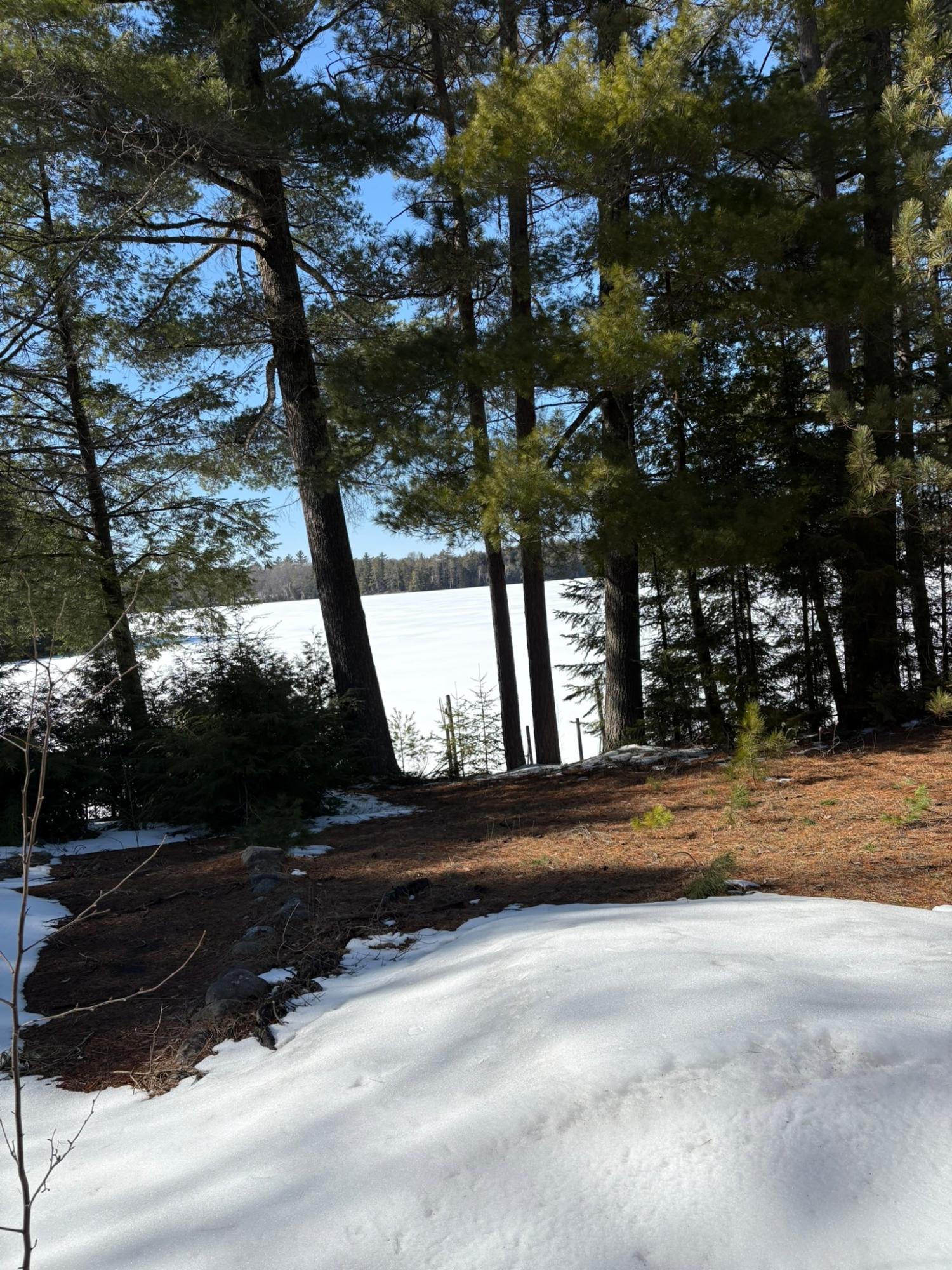White Sand Lake Property 12893 Rocky Point Ln Photo 14