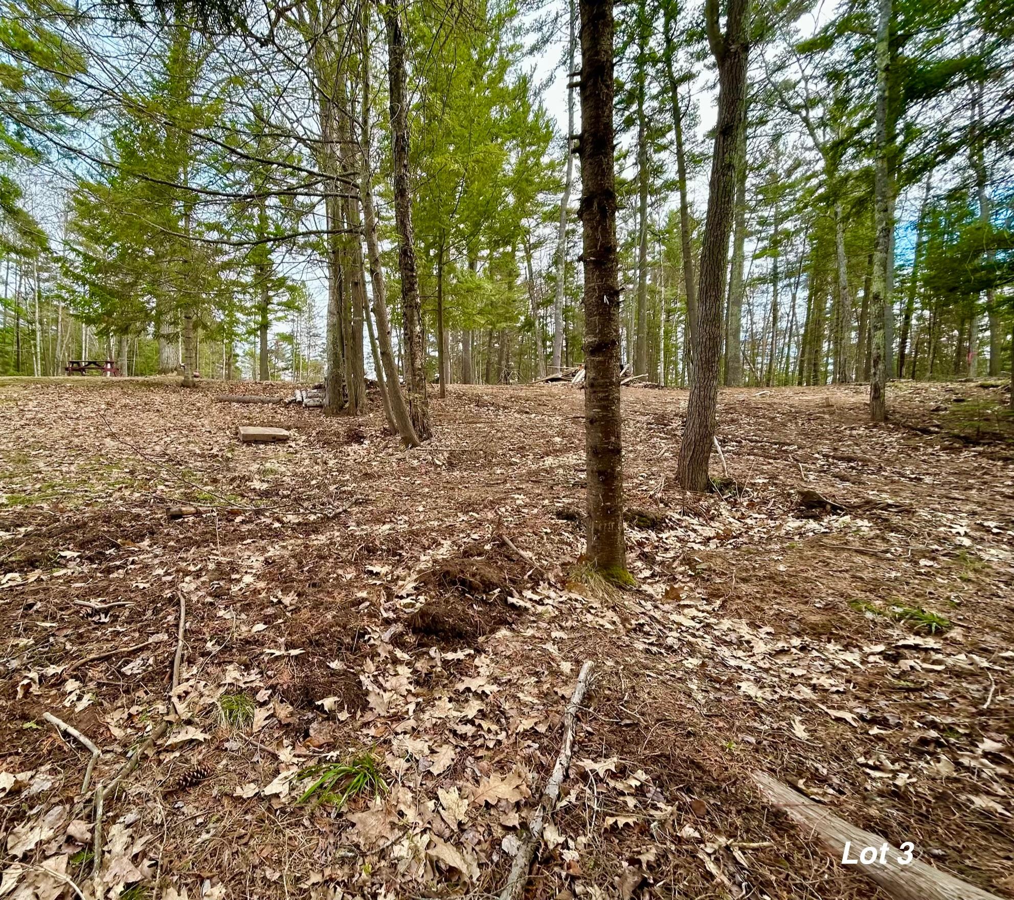 River Property Property Lot 3 Riverdale Ln Photo 15
