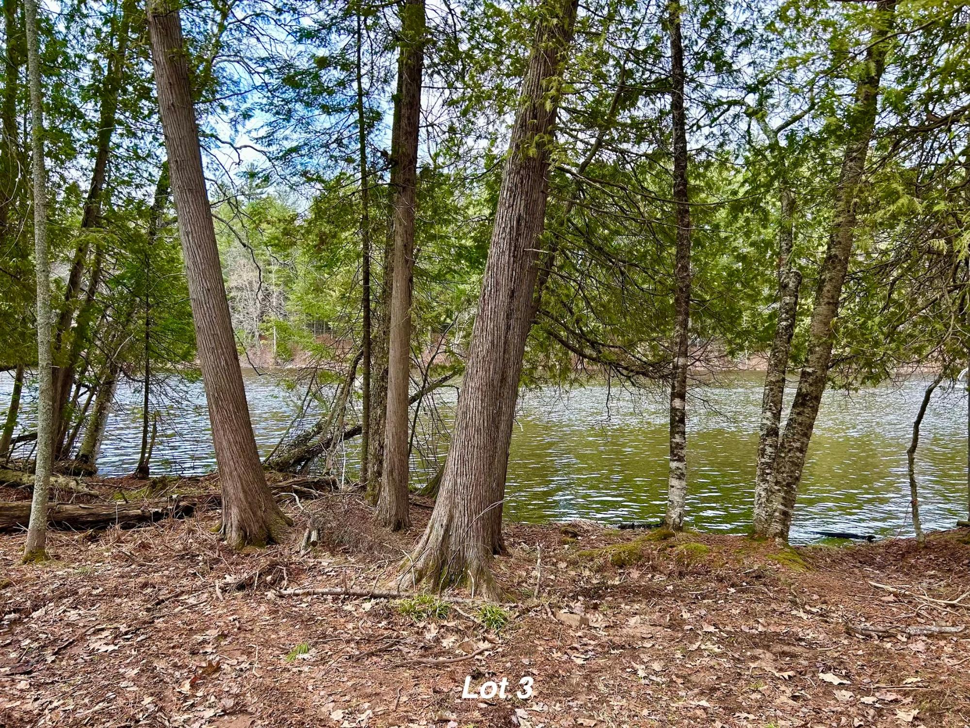 River Property Property Lot 3 Riverdale Ln Photo 16