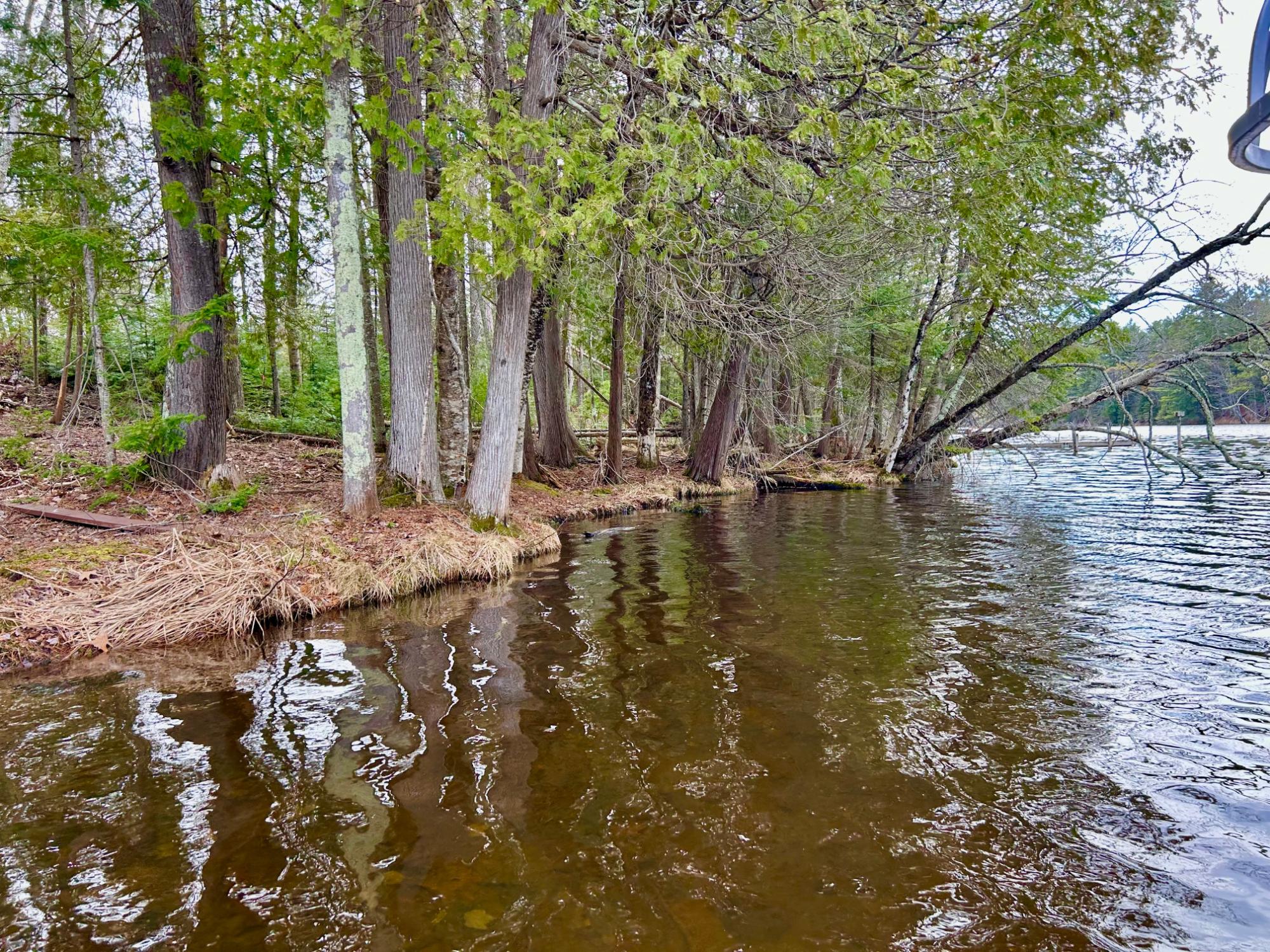 River Property Property Lot 3 Riverdale Ln Photo 19