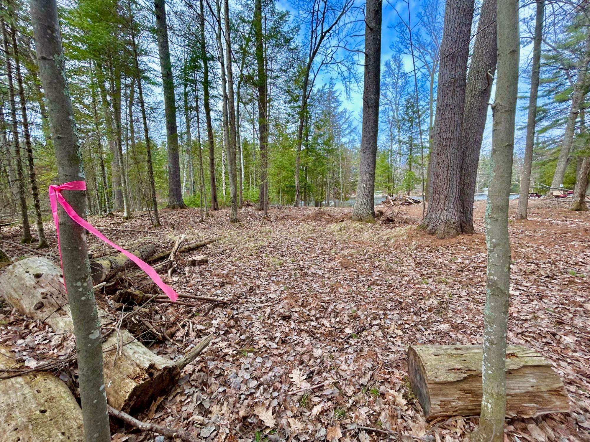River Property Property Lot 3 Riverdale Ln Photo 21