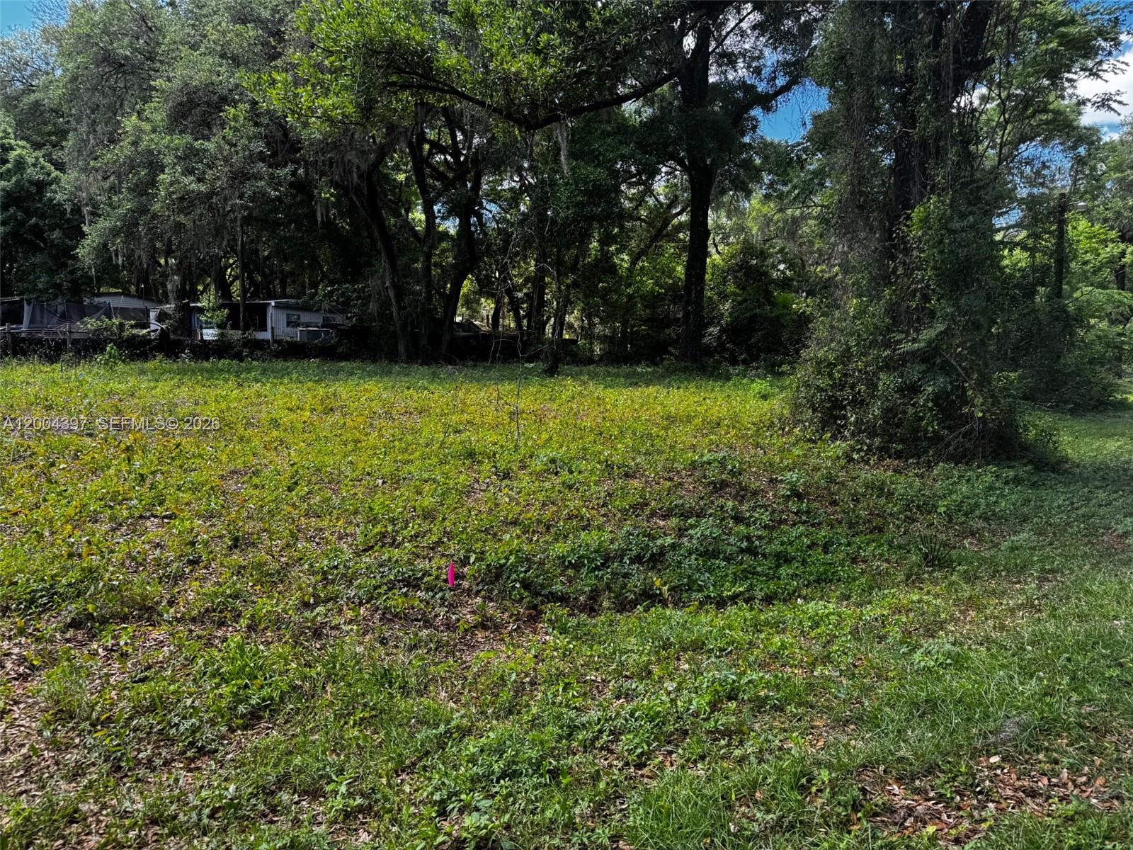 Ocala Park Estate