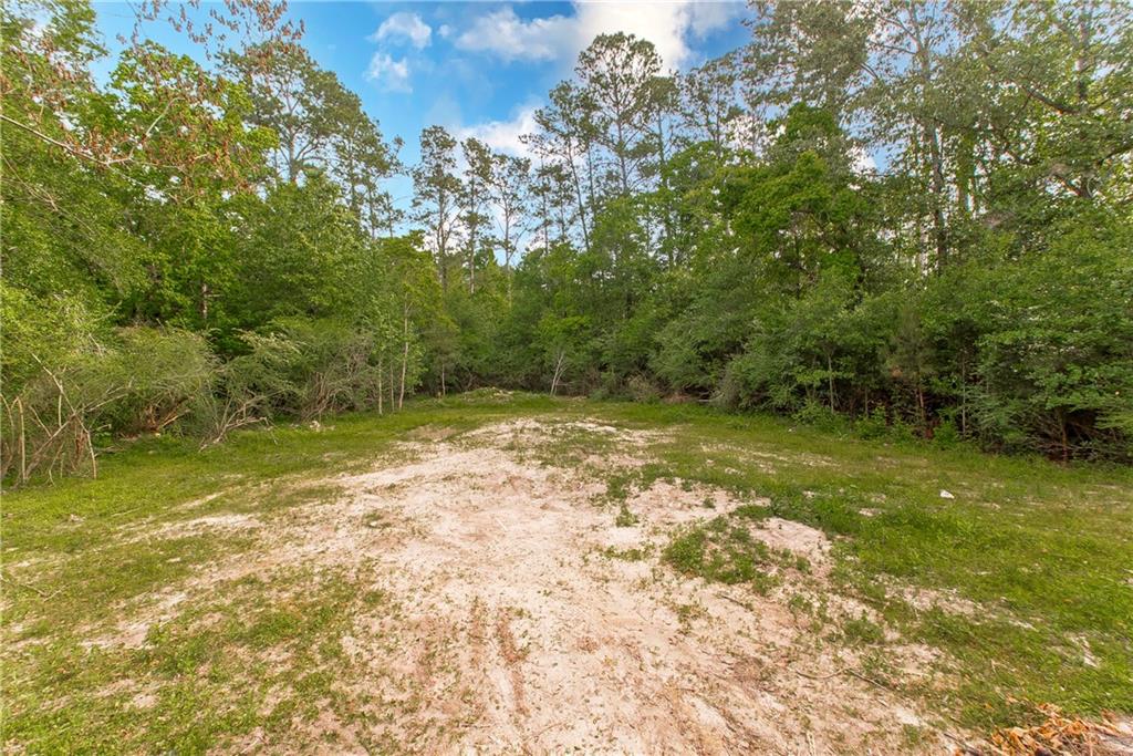 Homes for sale in Springfield, LA | 22258 J L Parsons Rd, Springfield, LA 70462 | MLS# 2554285