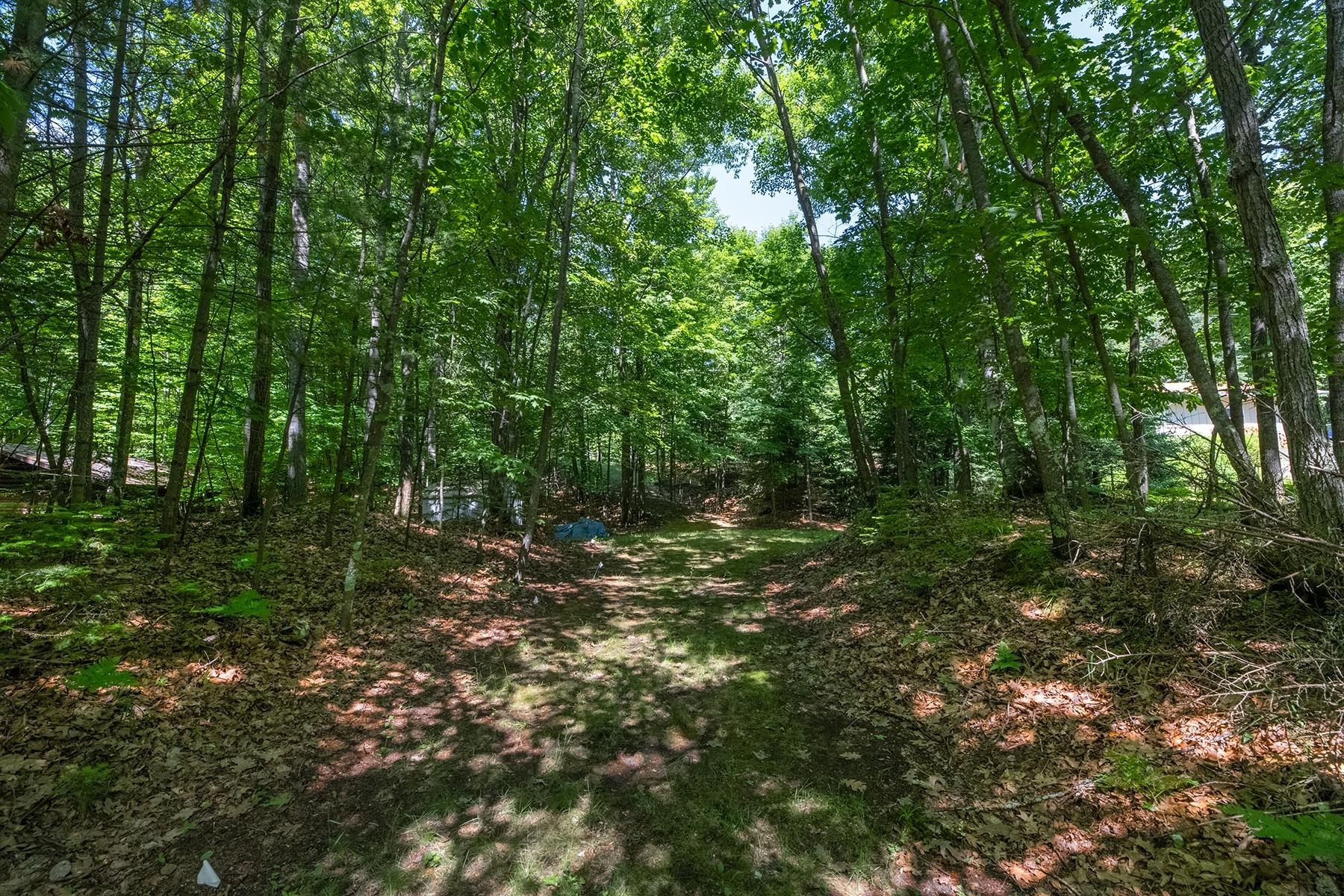 Deerskin Lake Property Off Shangri La Rd Photo 12