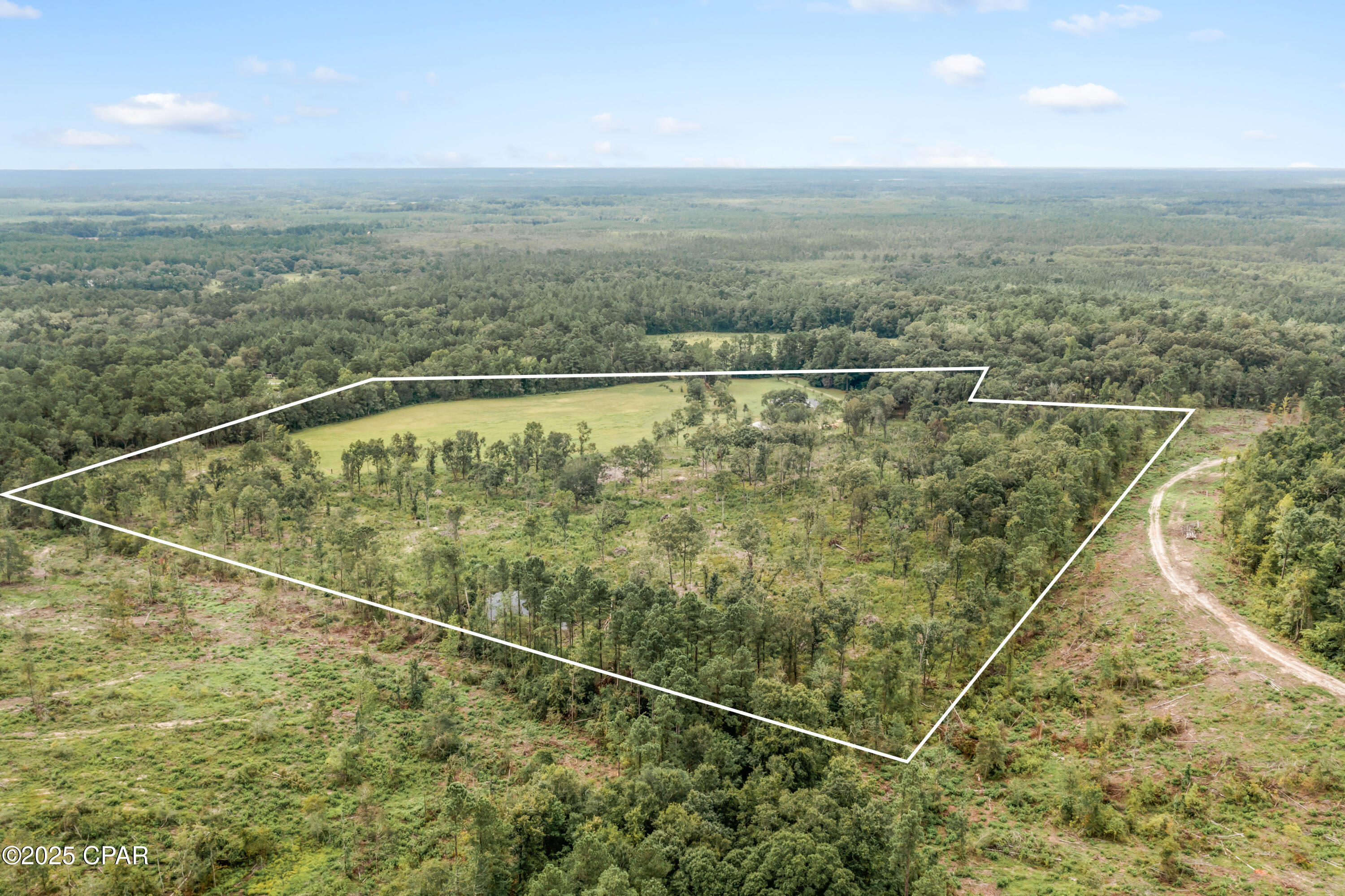 Listing photo id 12 for 2822 River Road