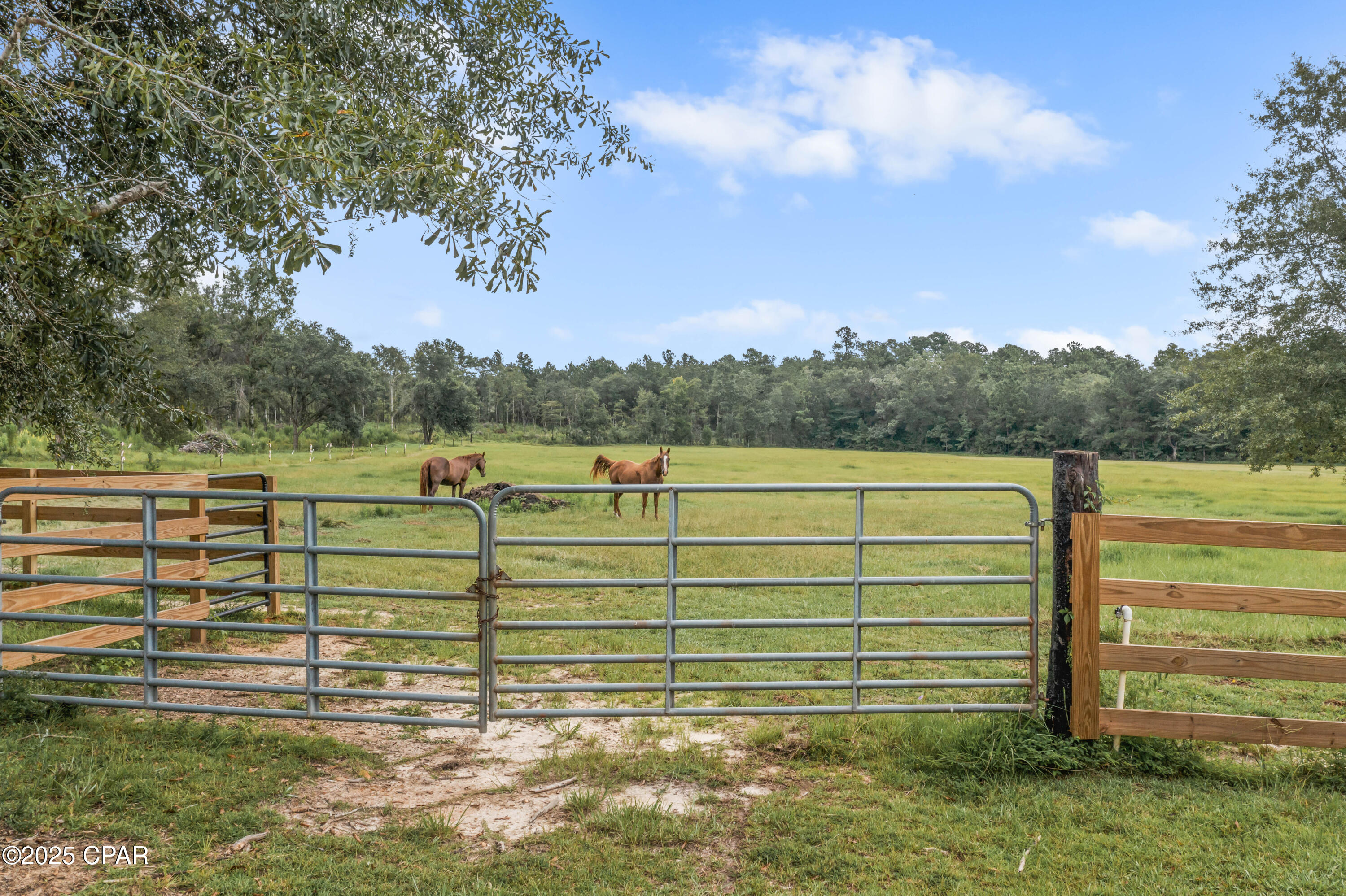 Listing photo id 21 for 2822 River Road