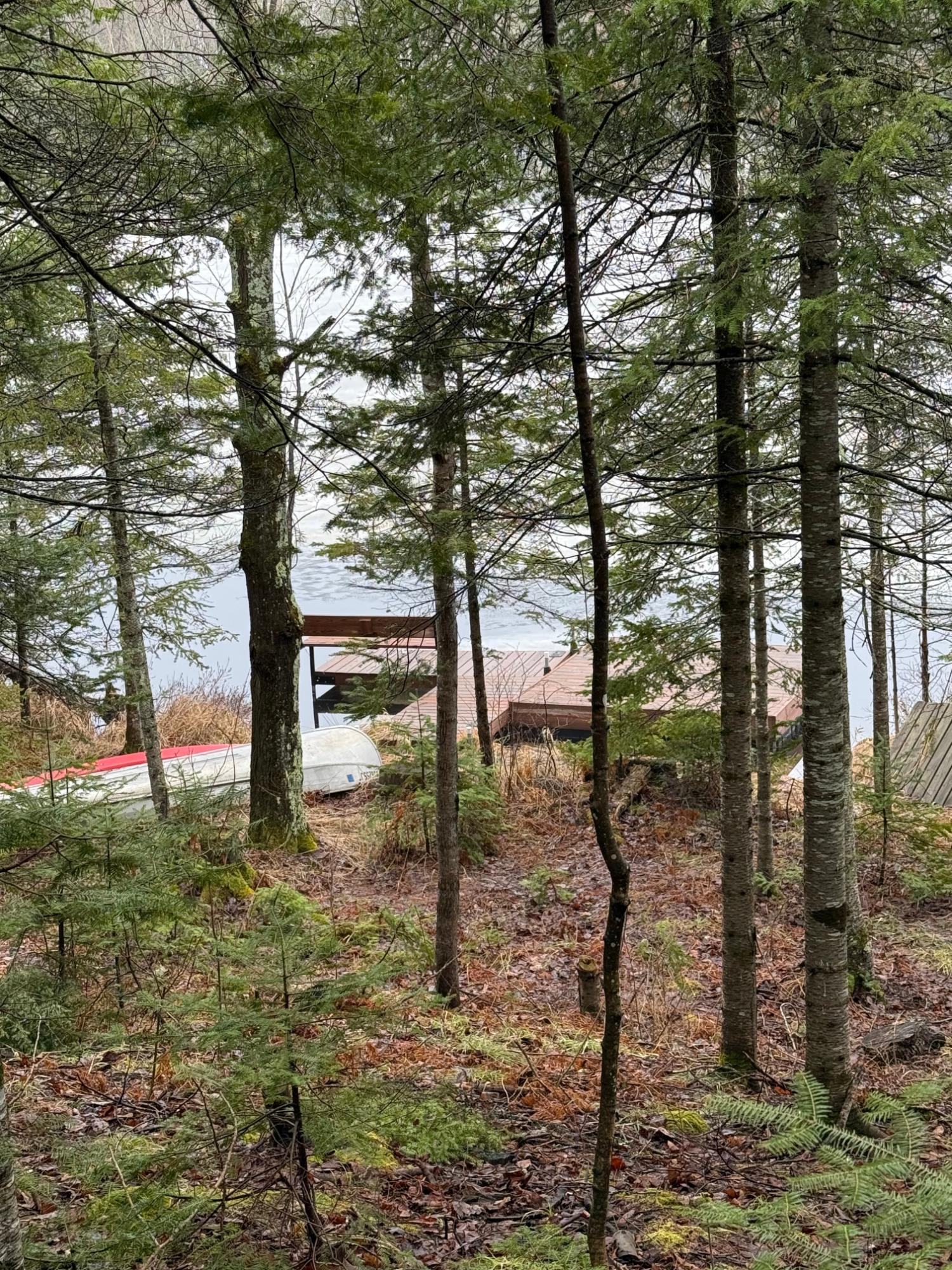 Boot Lake MW Property 11917 Thoma Dr Photo 20