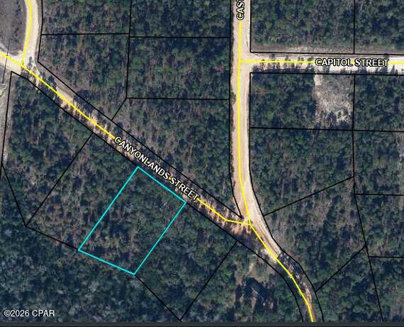 Listing Details for 00 Canyonlands Street, Alford, FL 32420