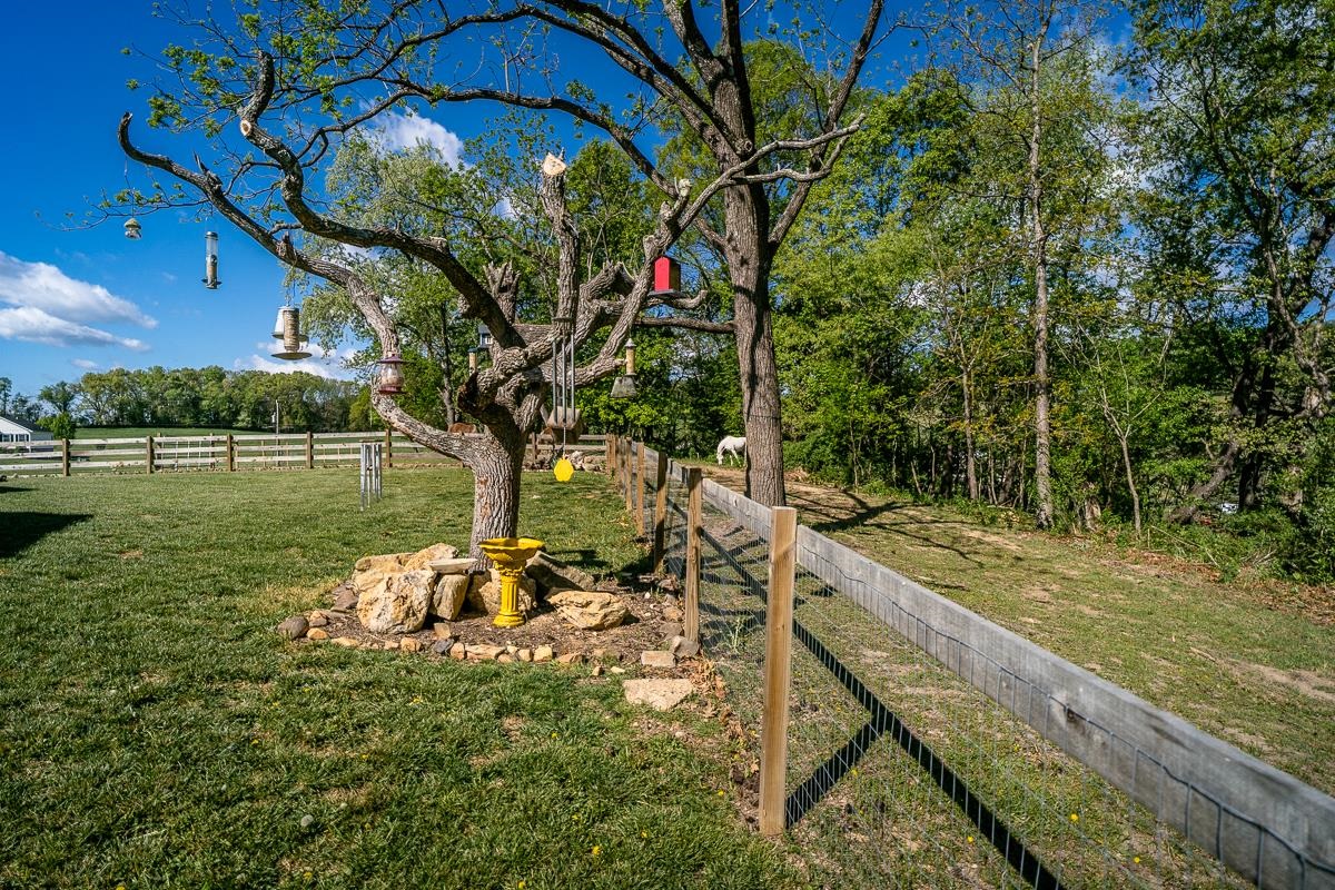 99 Mt Ida Ln