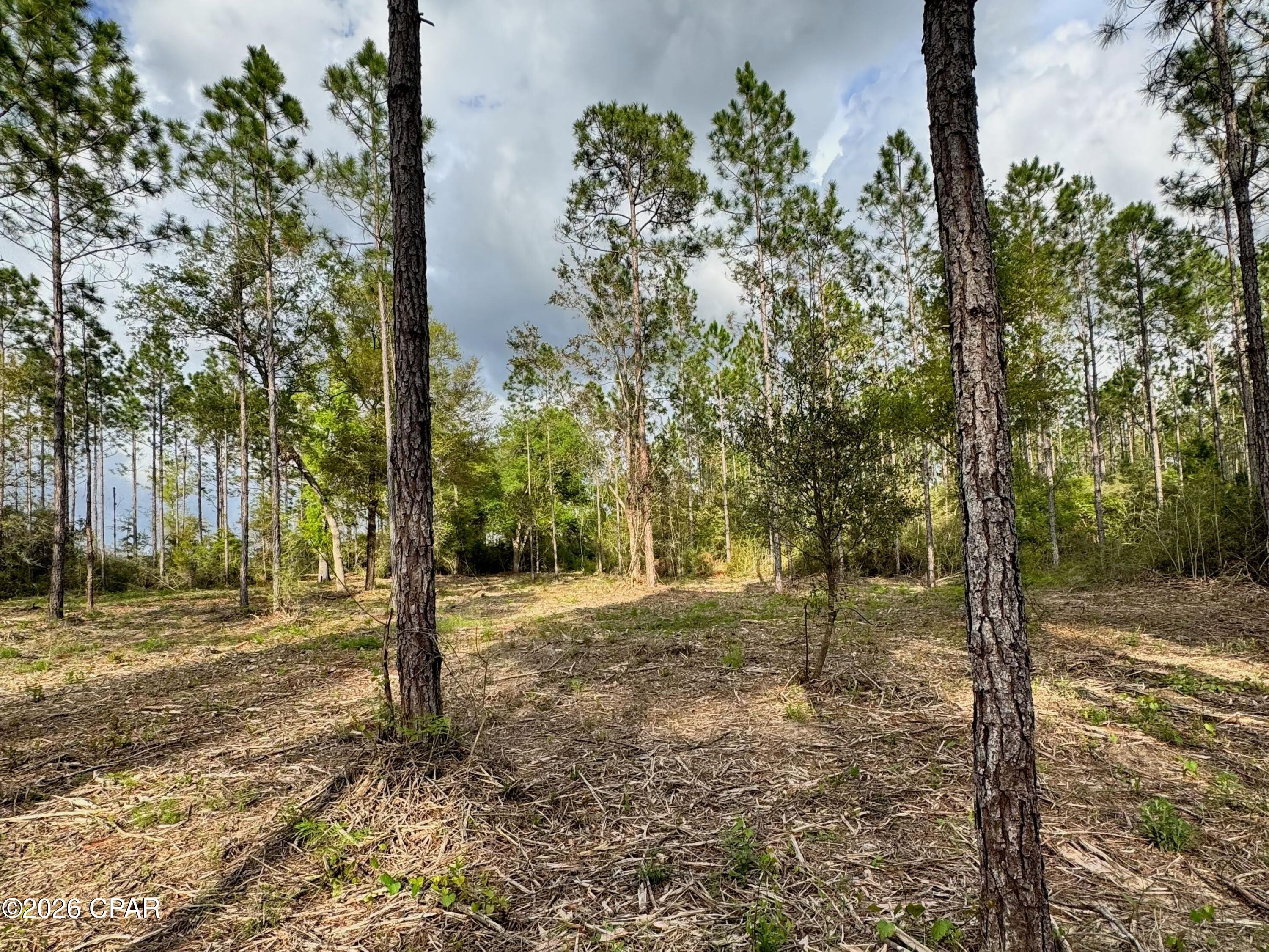 Image 3 For Lot 9 Pleasant Hill Road