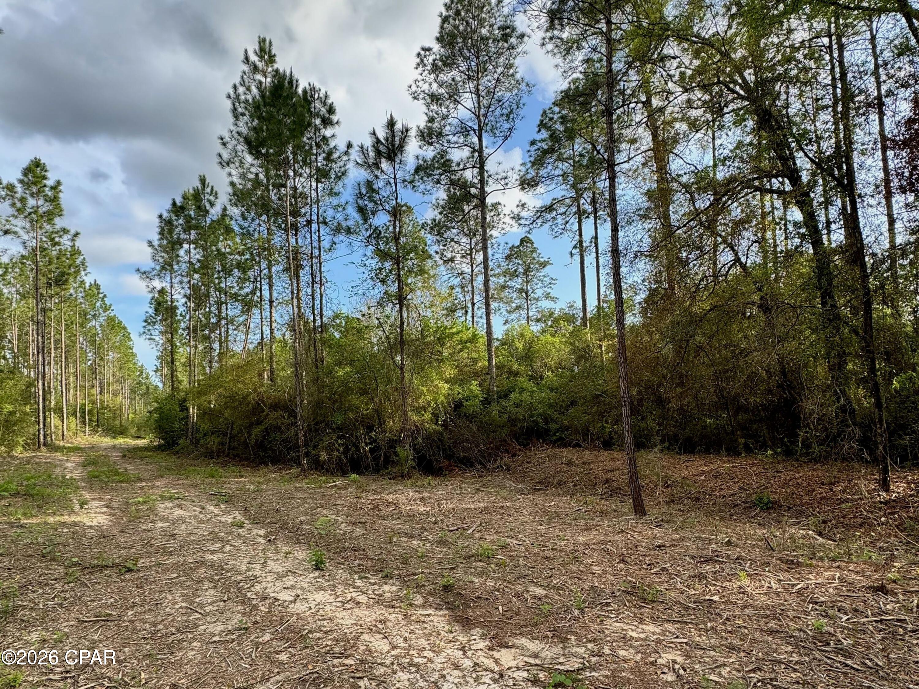 Image 5 For Lot 9 Pleasant Hill Road