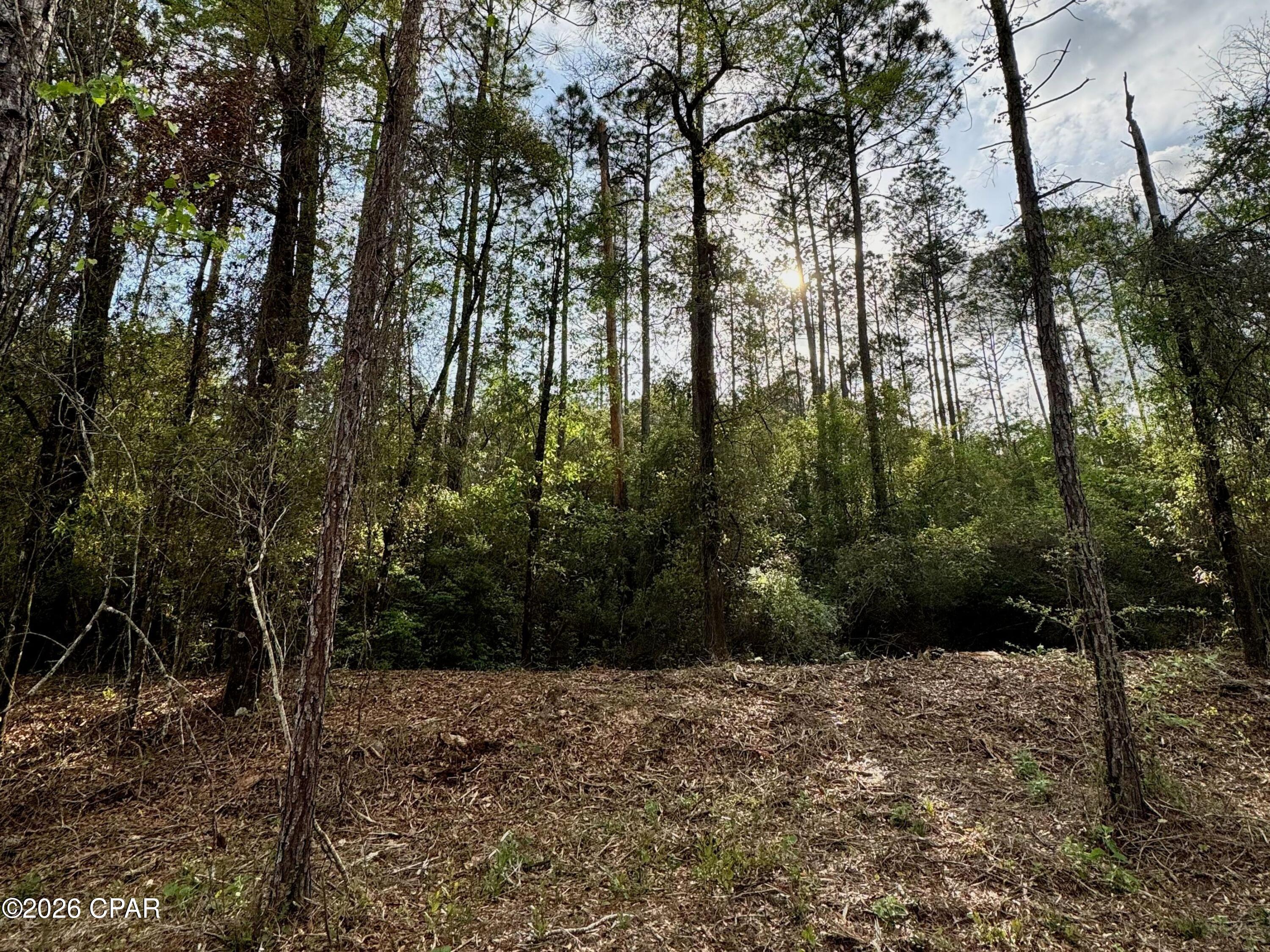 Image 9 For Lot 9 Pleasant Hill Road