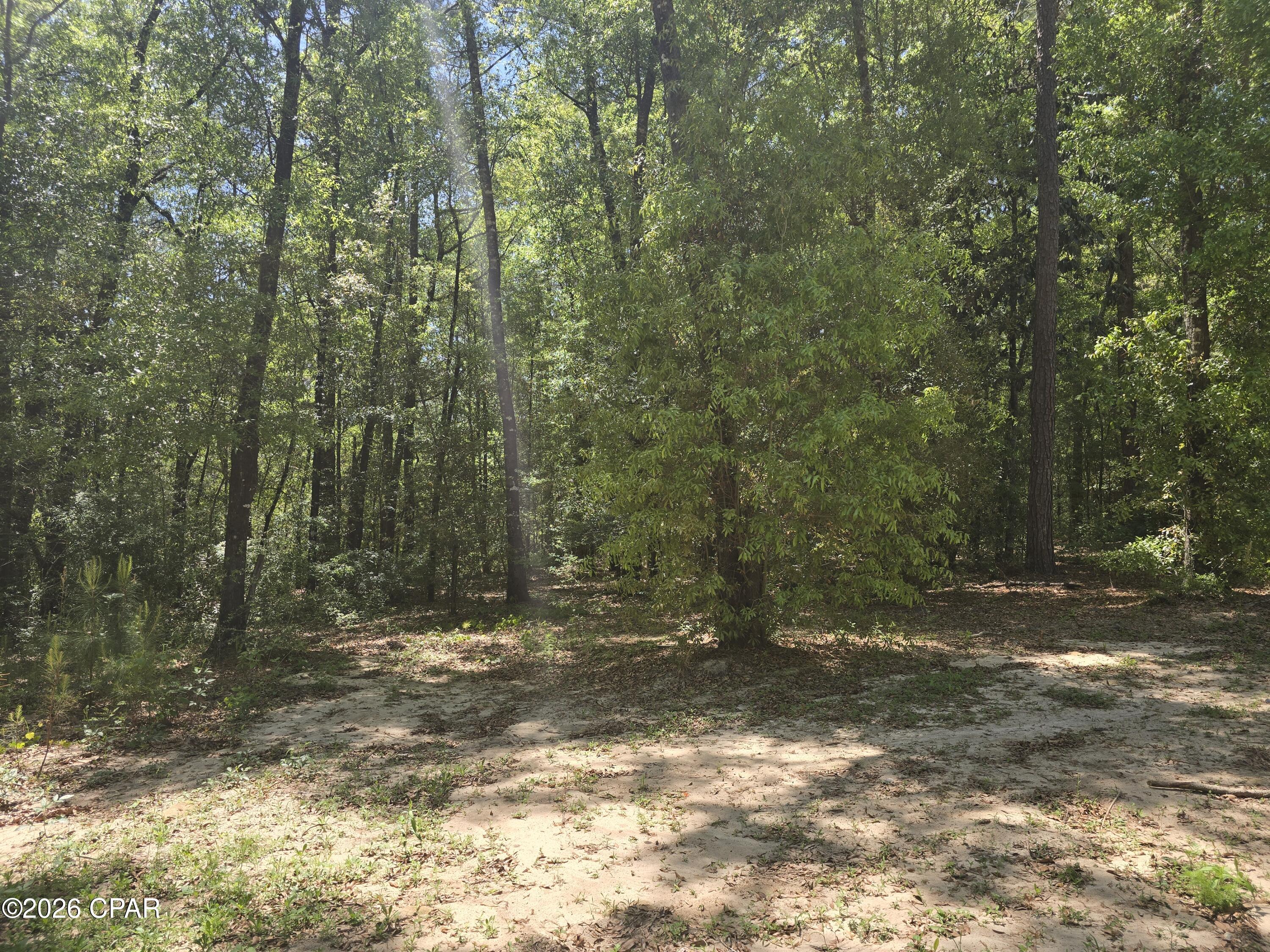 Image 37 For 319 Clyde Brown Road