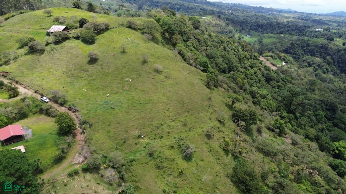 0 bed Land For Sale in Turrialba, Cartago - 1