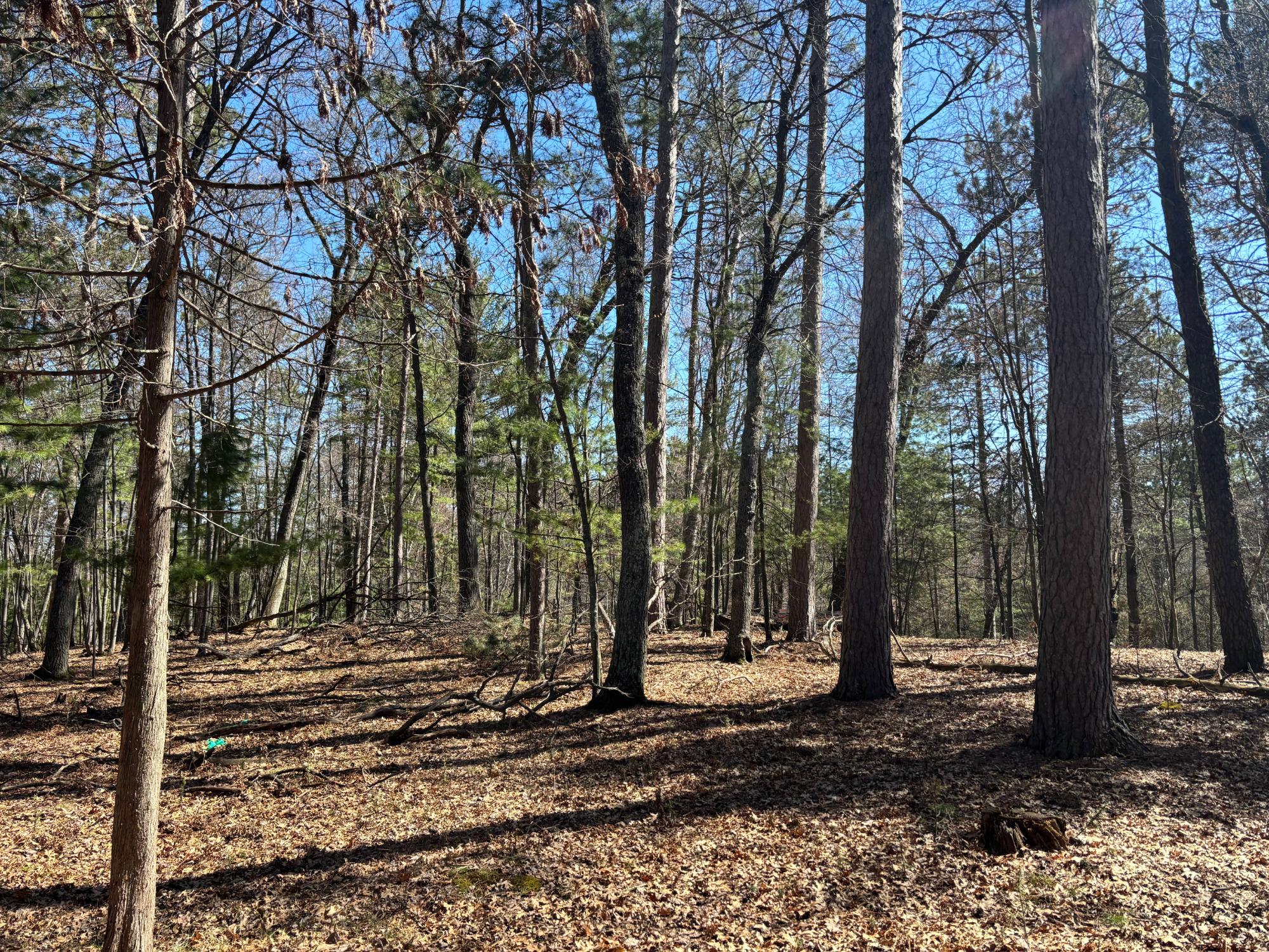 Bass Lake(R) Property 4171 Bay Rd N Photo 38