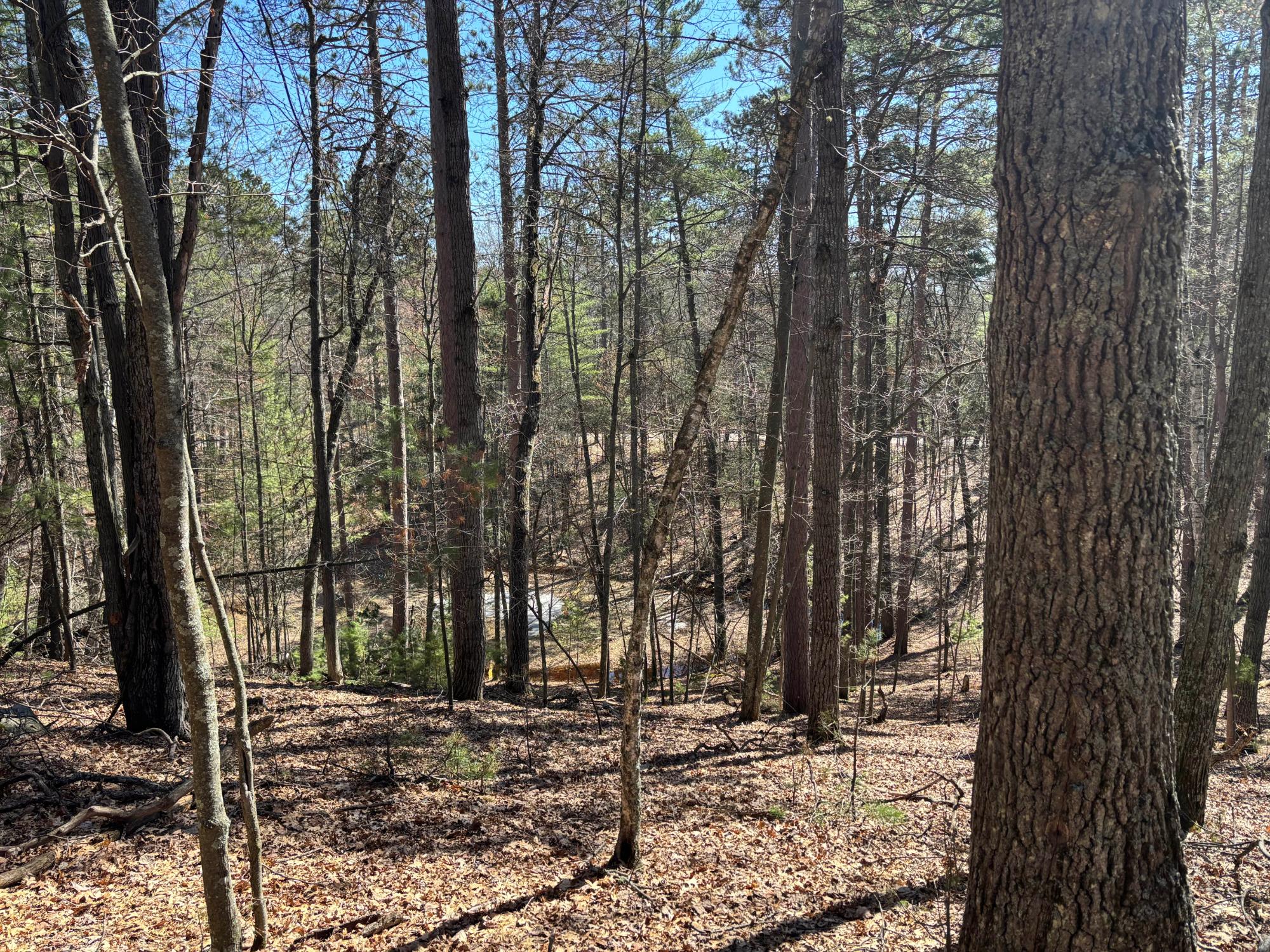 Bass Lake(R) Property 4171 Bay Rd N Photo 40