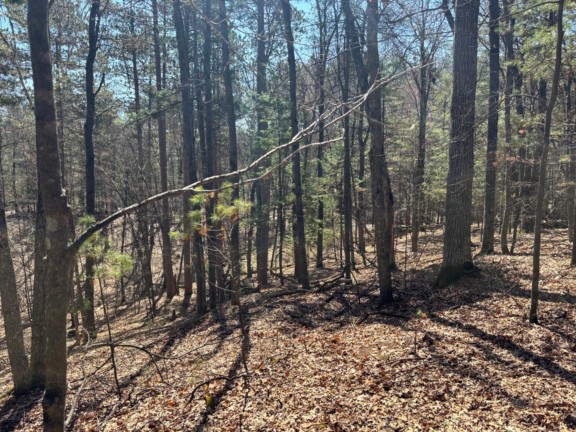 Bass Lake(R) Property 4171 Bay Rd N Photo 41