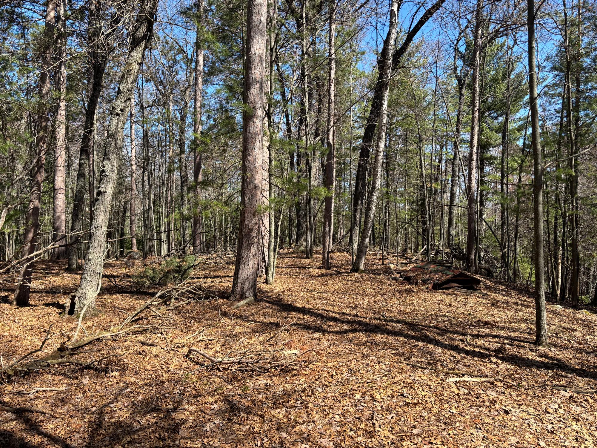 Bass Lake(R) Property 4171 Bay Rd N Photo 42