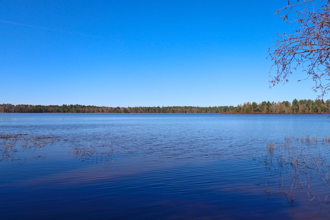 Boot Lake Property 2515 Hunter Lake Rd E Photo 10