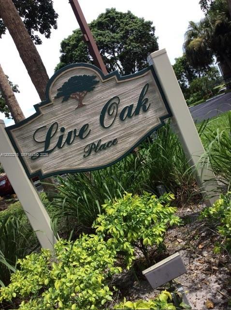 Live Oak 12 Of Pine Islan