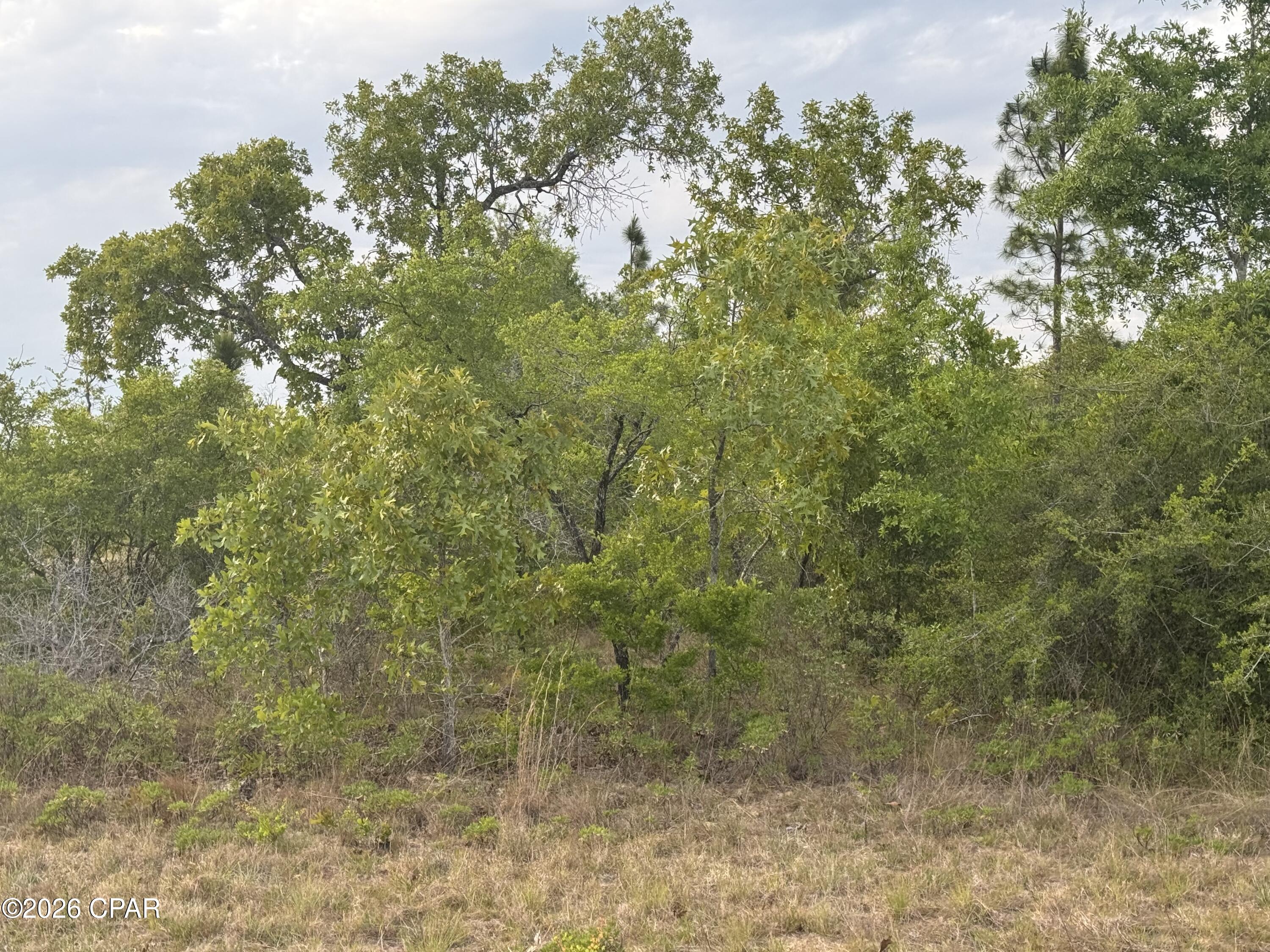 Image 3 For 0000 Linden Street