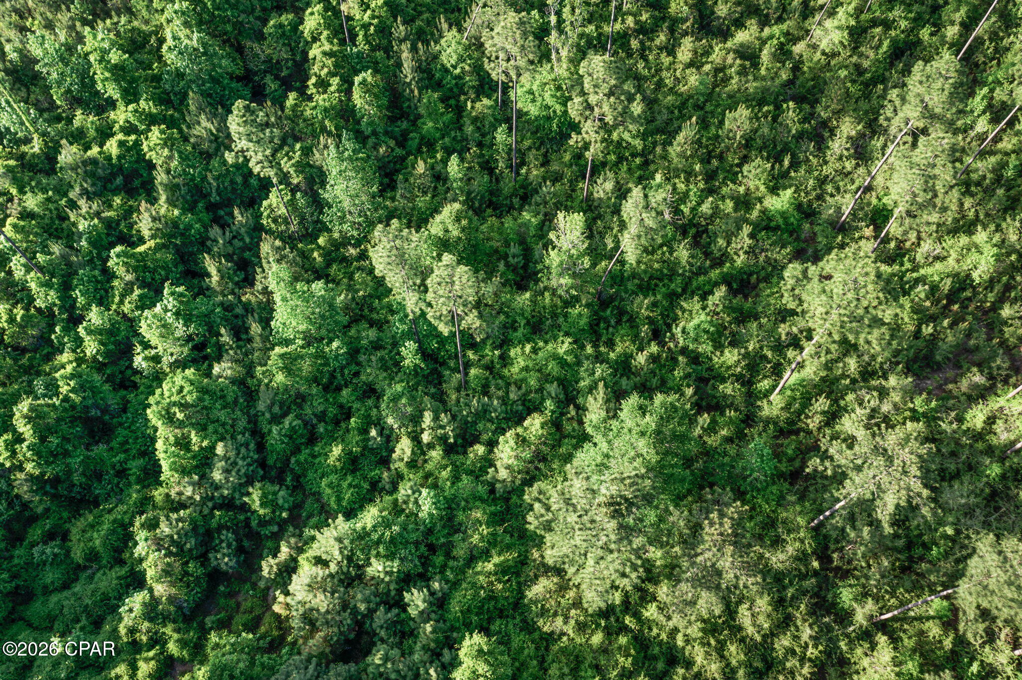 Image 27 For Xxx Captain Fritz Road