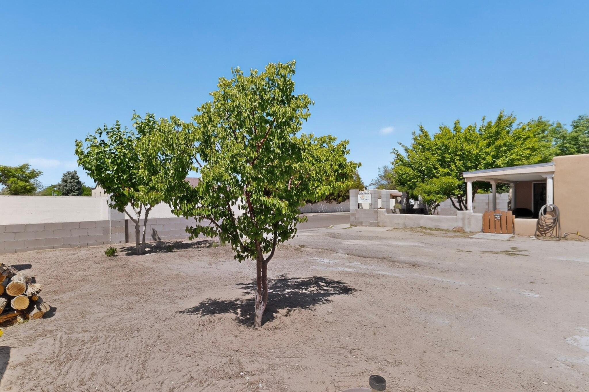Homes for sale in Albuquerque, NM | 308 Dolores Dr Nw, Albuquerque, NM 87105 | MLS# 1102383