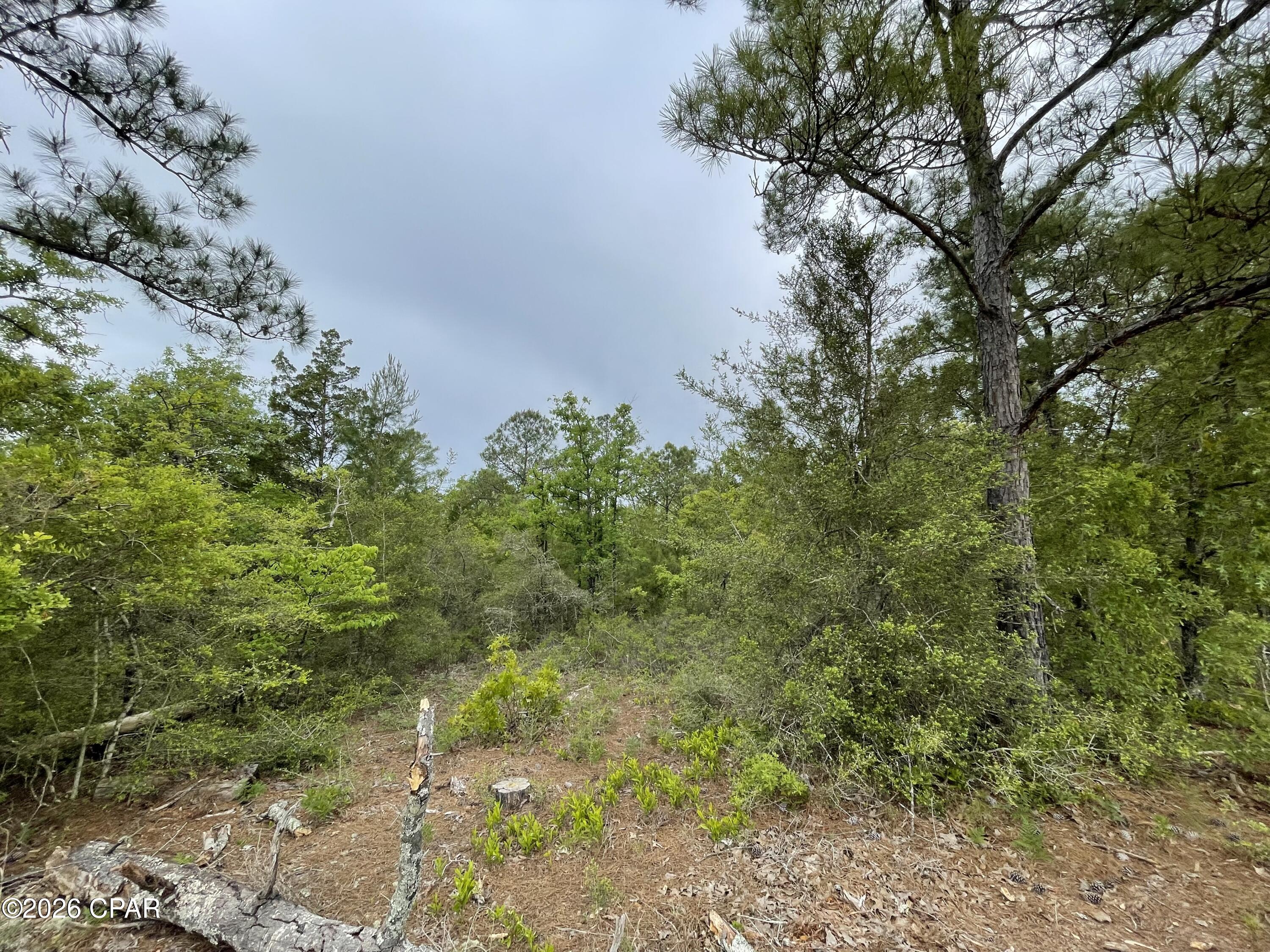 Image 2 For 0000 Marville Drive