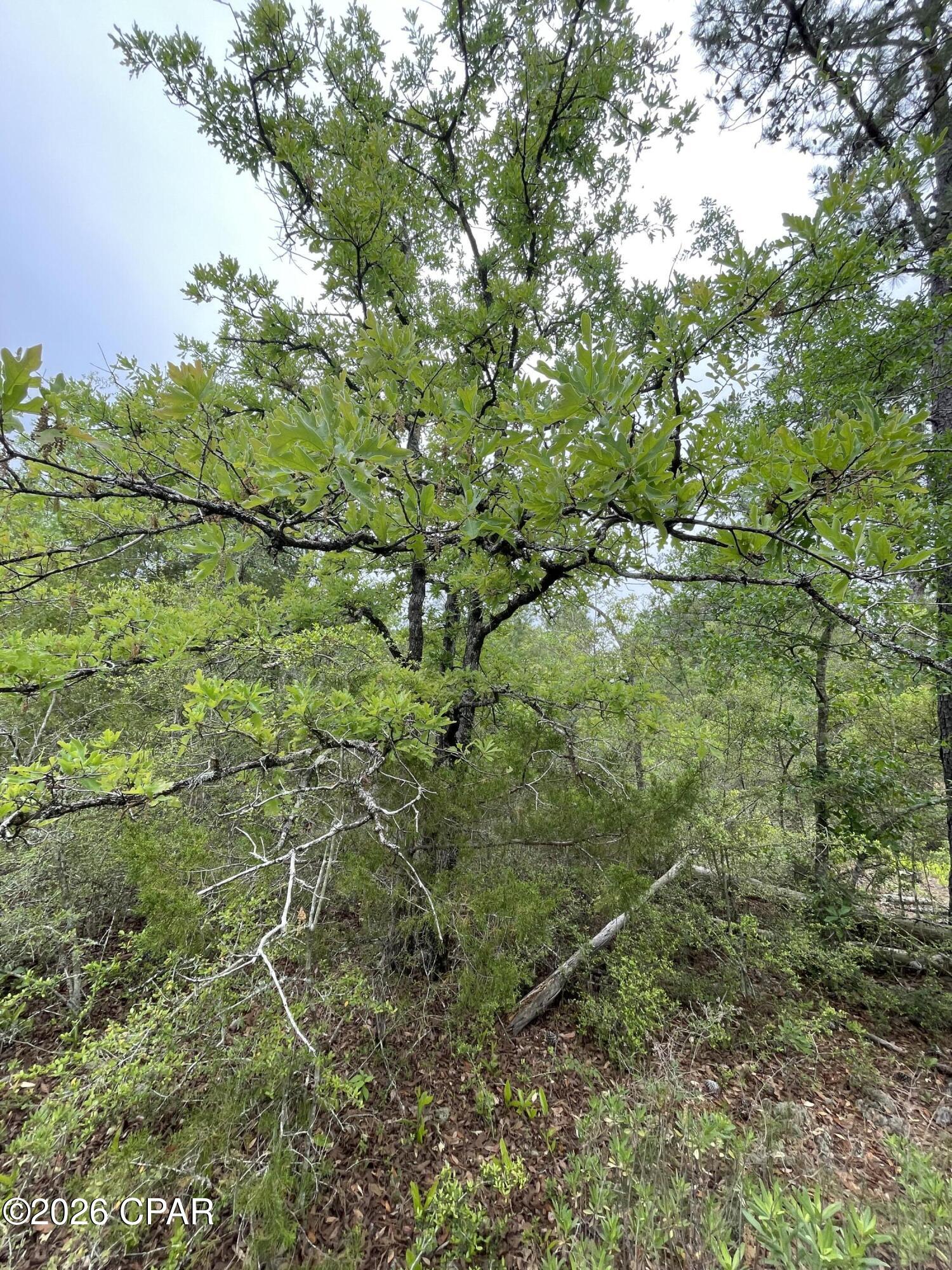 Image 4 For 0000 Marville Drive