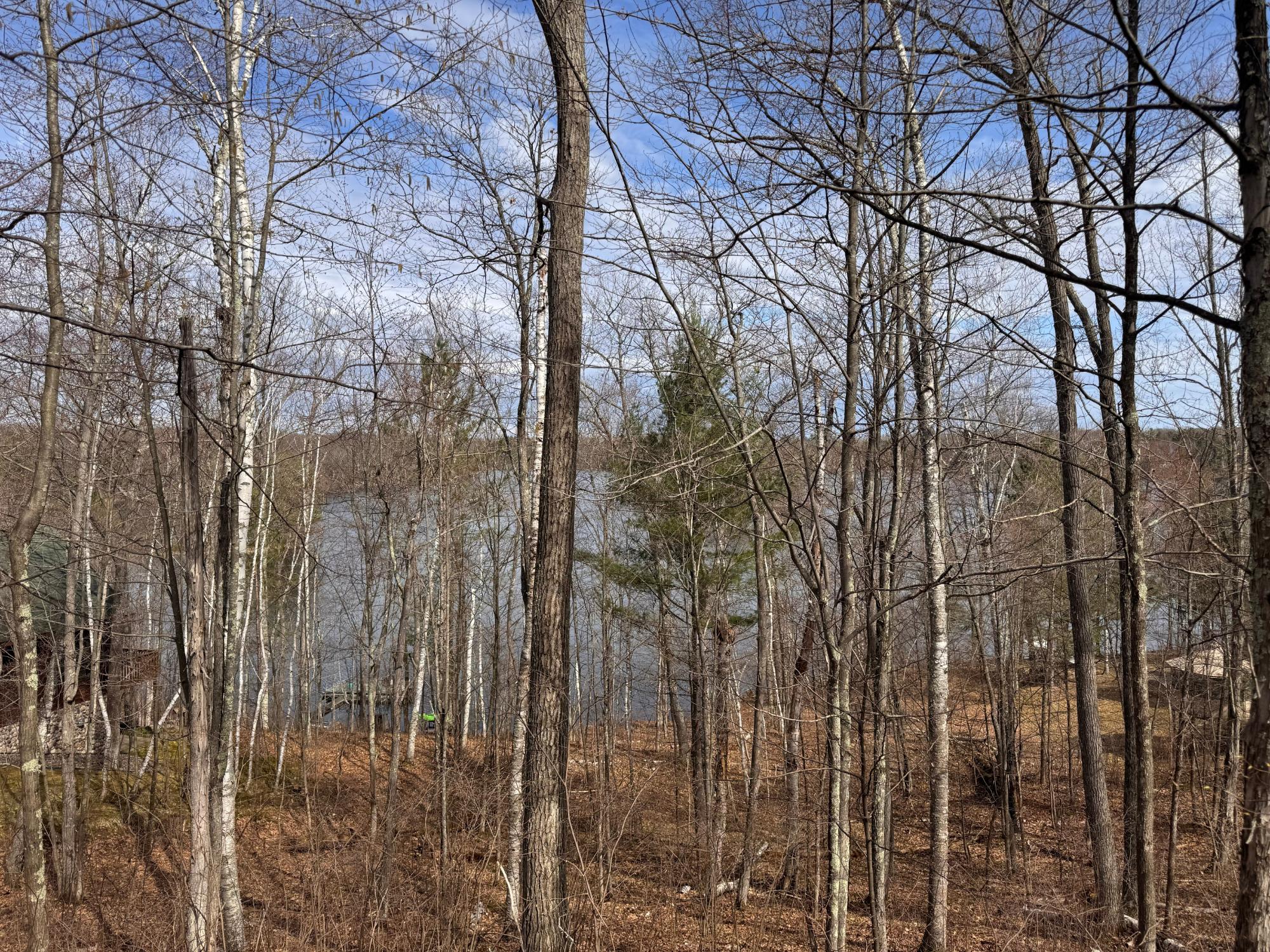 Little Bearskin Lake Property ON Jackson Heights Rd Photo 10