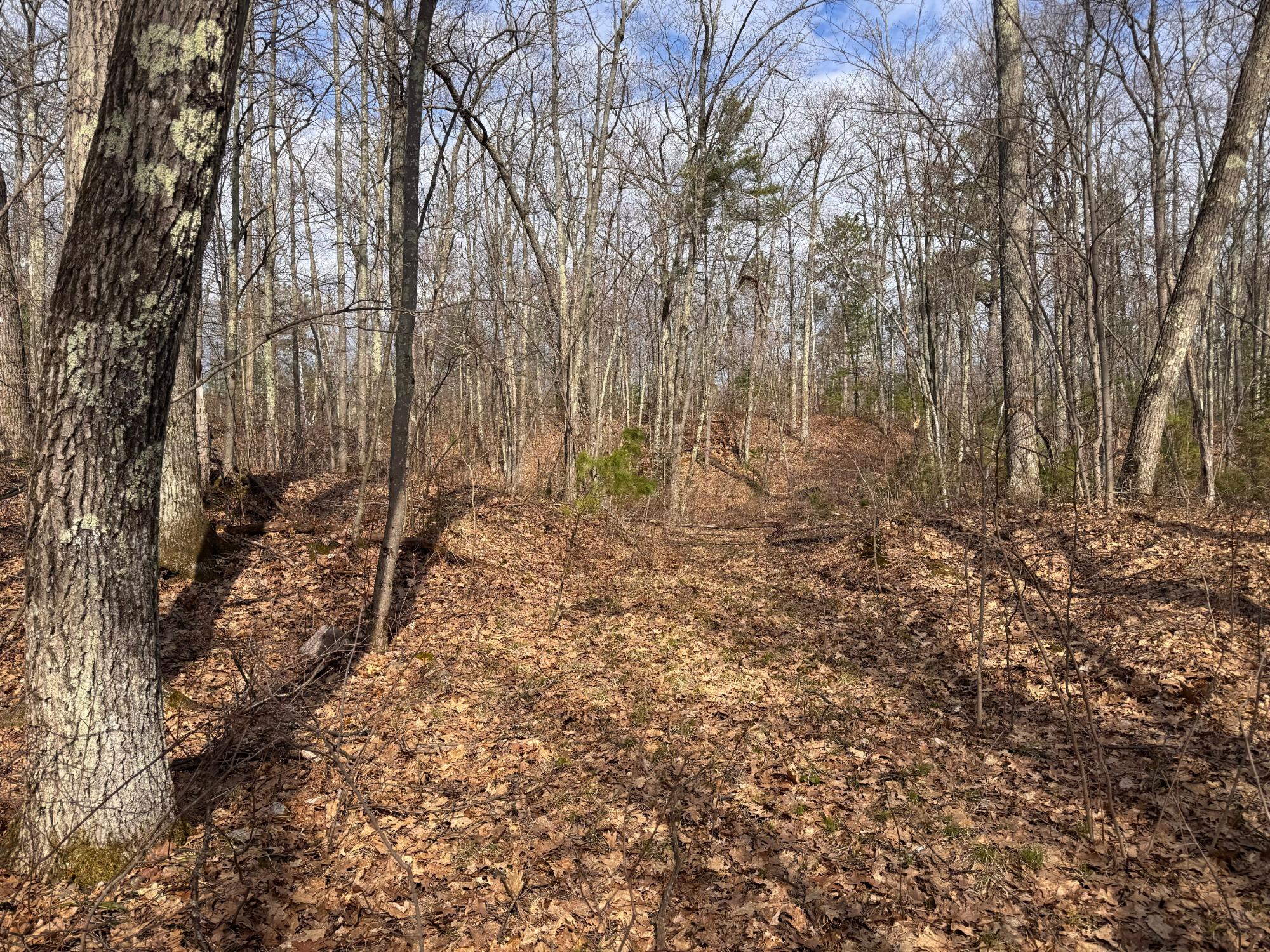 Little Bearskin Lake Property ON Jackson Heights Rd Photo 11