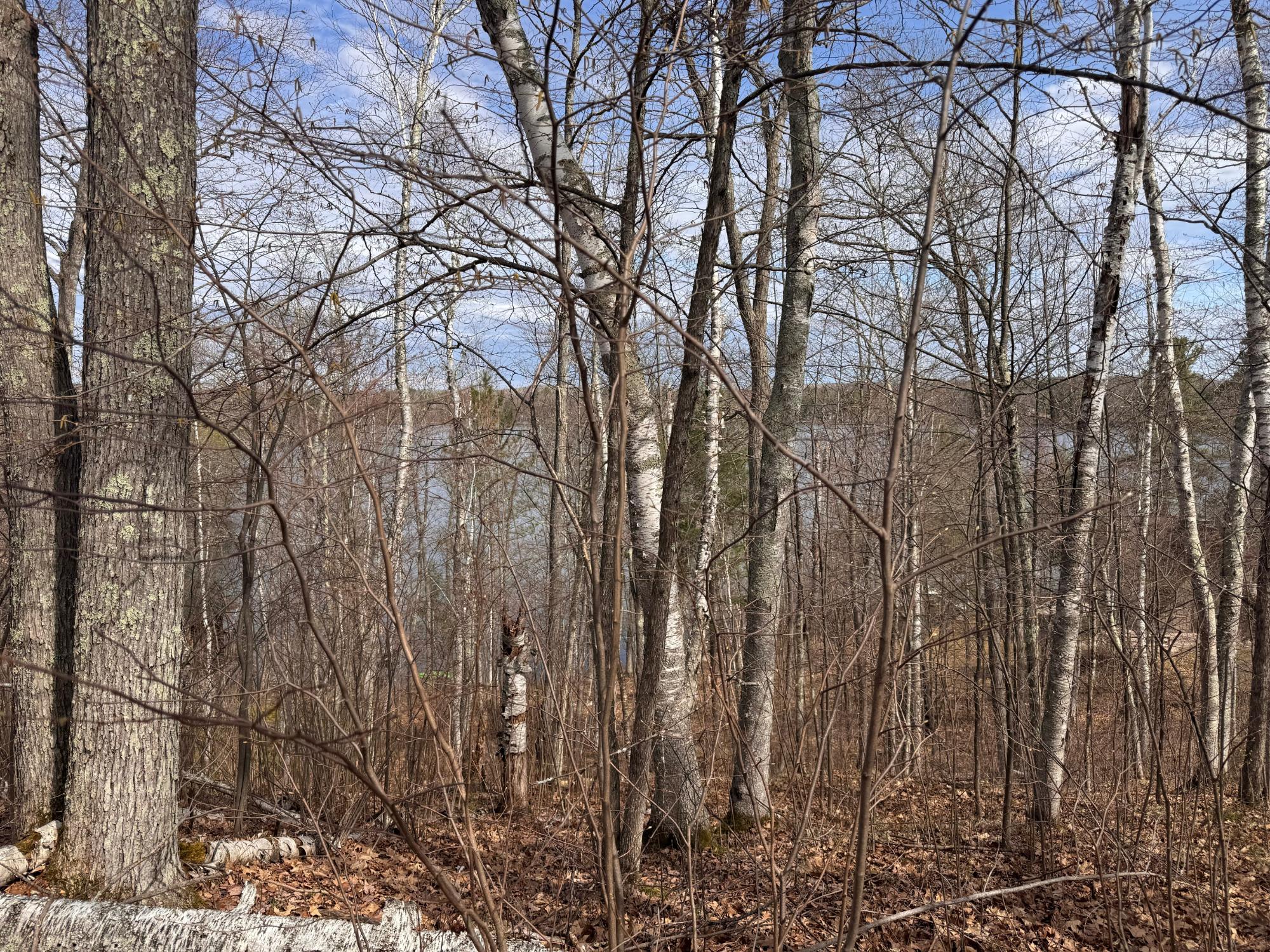 Little Bearskin Lake Property ON Jackson Heights Rd Photo 13