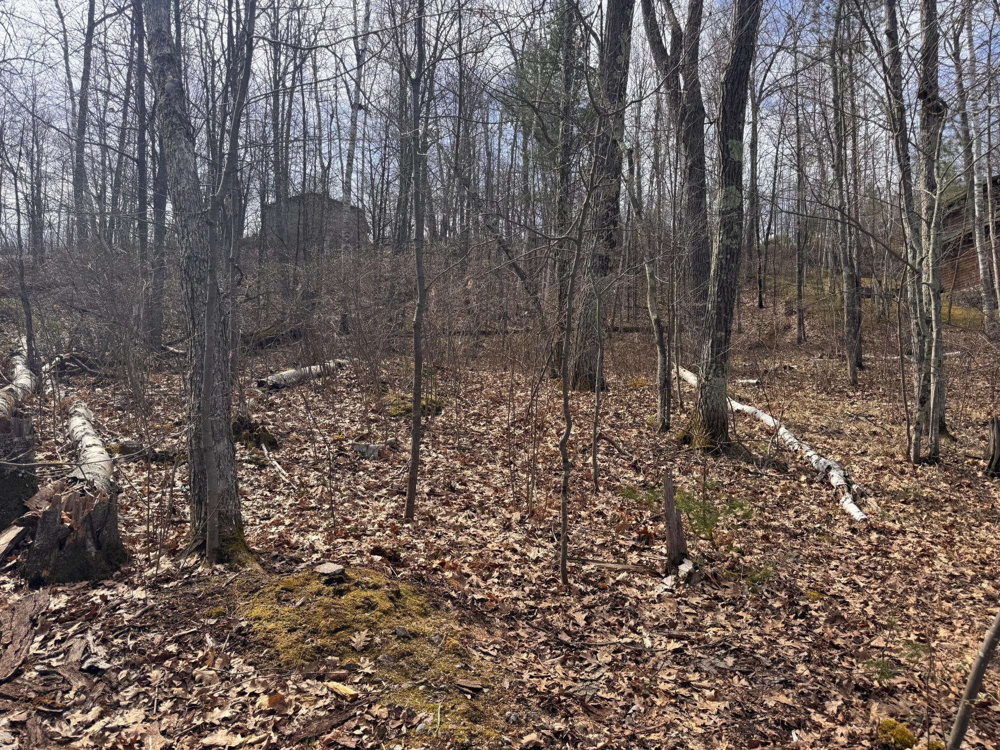 Little Bearskin Lake Property ON Jackson Heights Rd Photo 14