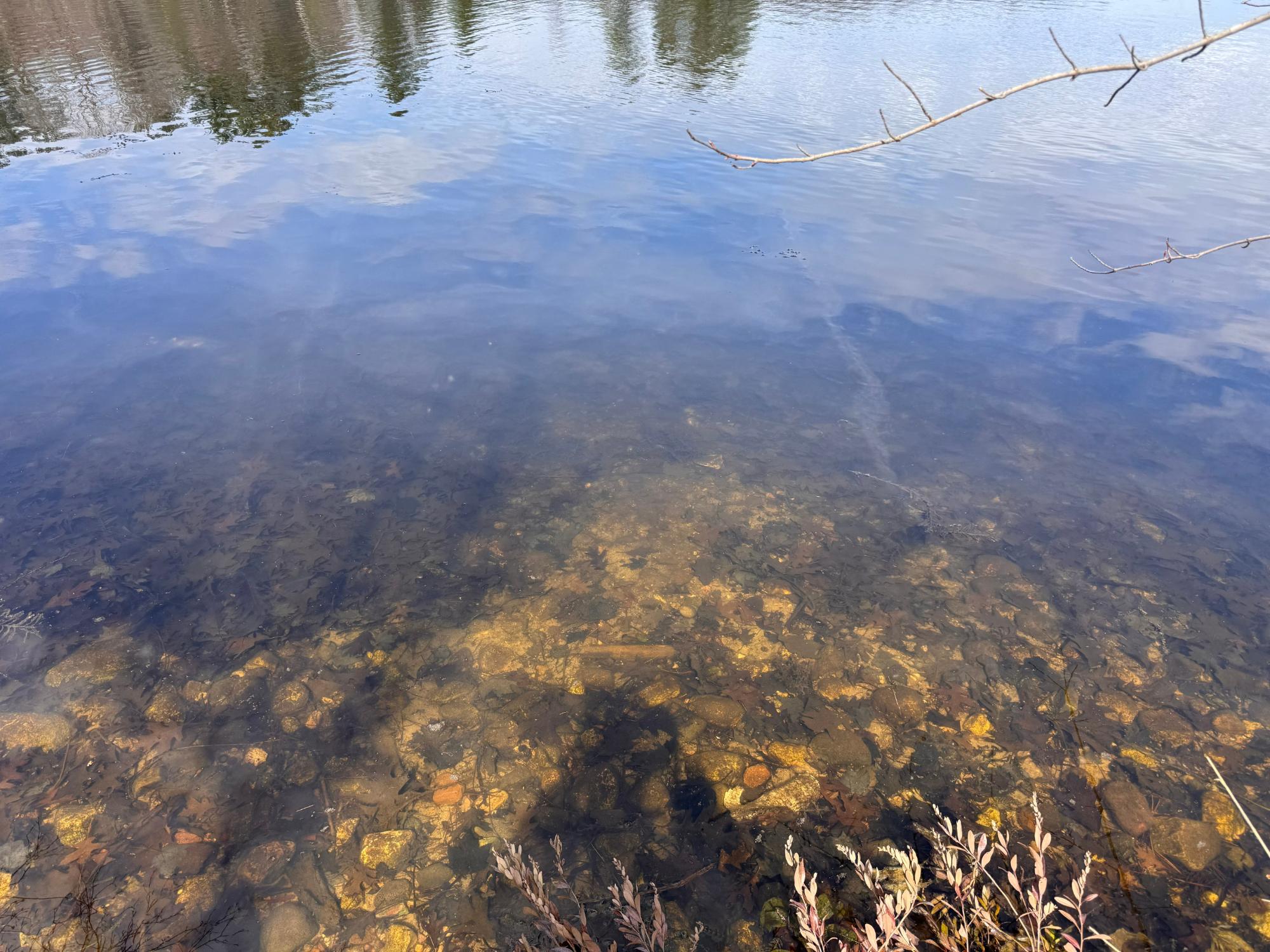Little Bearskin Lake Property ON Jackson Heights Rd Photo 15
