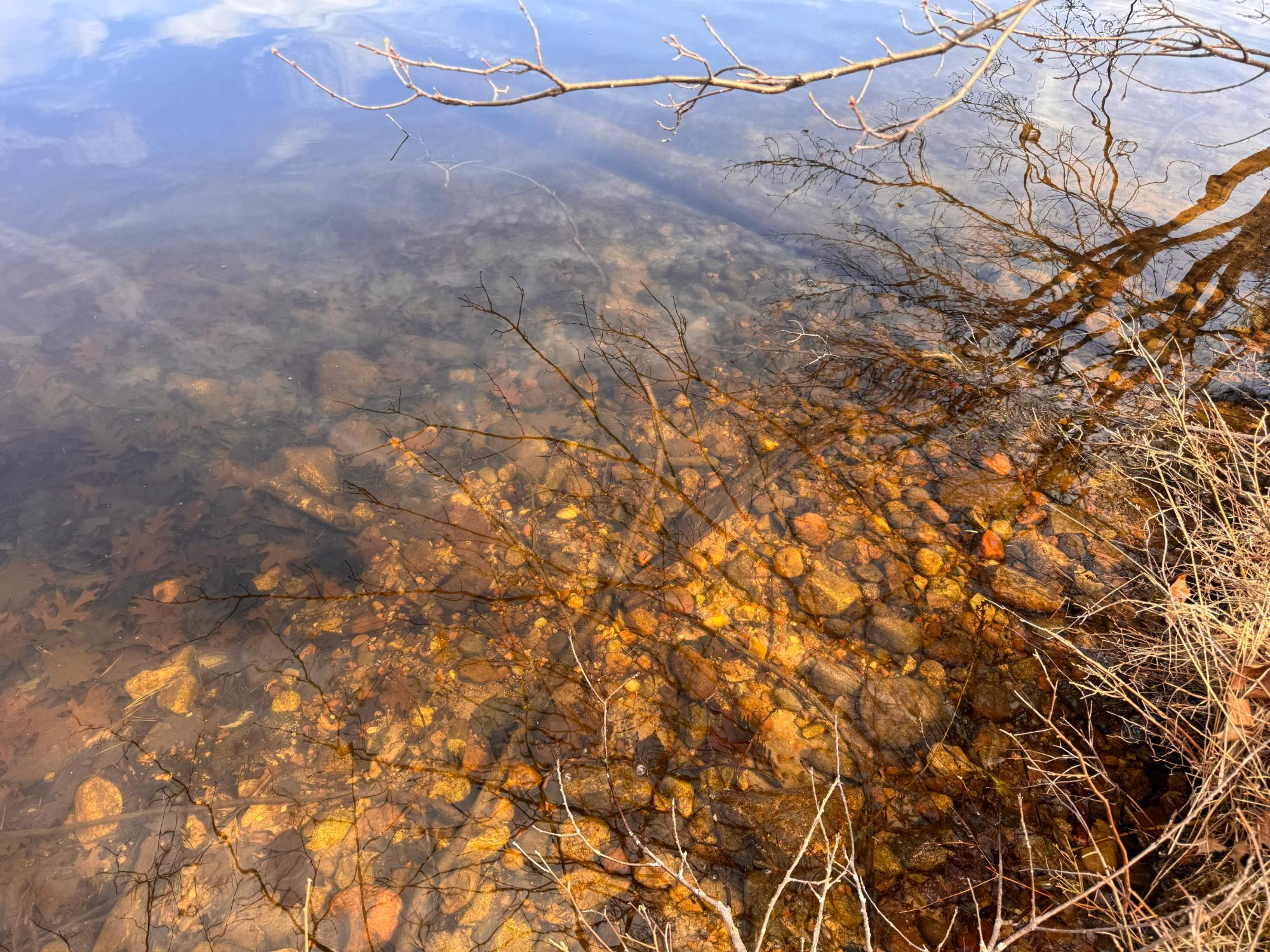 Little Bearskin Lake Property ON Jackson Heights Rd Photo 3
