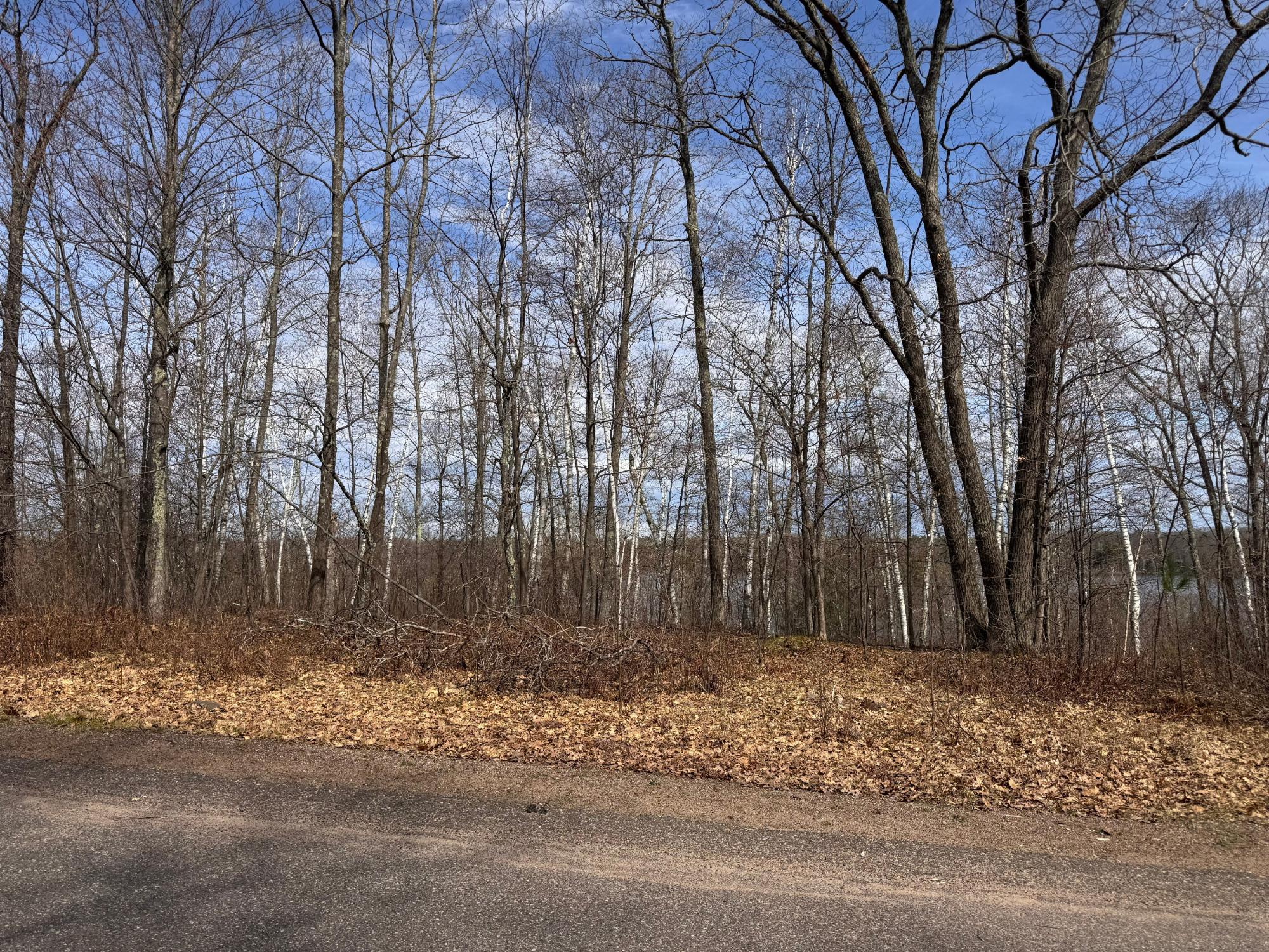 Little Bearskin Lake Property ON Jackson Heights Rd Photo 4