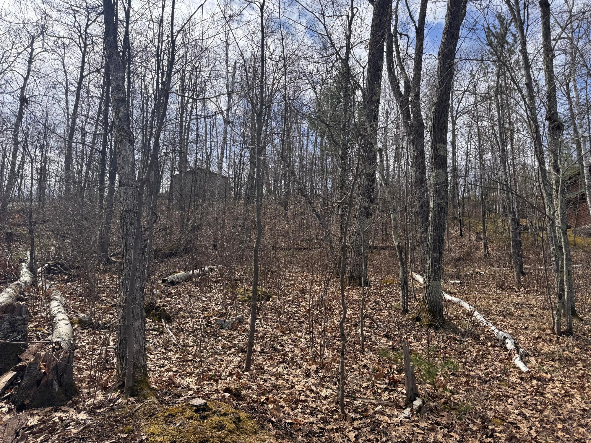 Little Bearskin Lake Property ON Jackson Heights Rd Photo 6