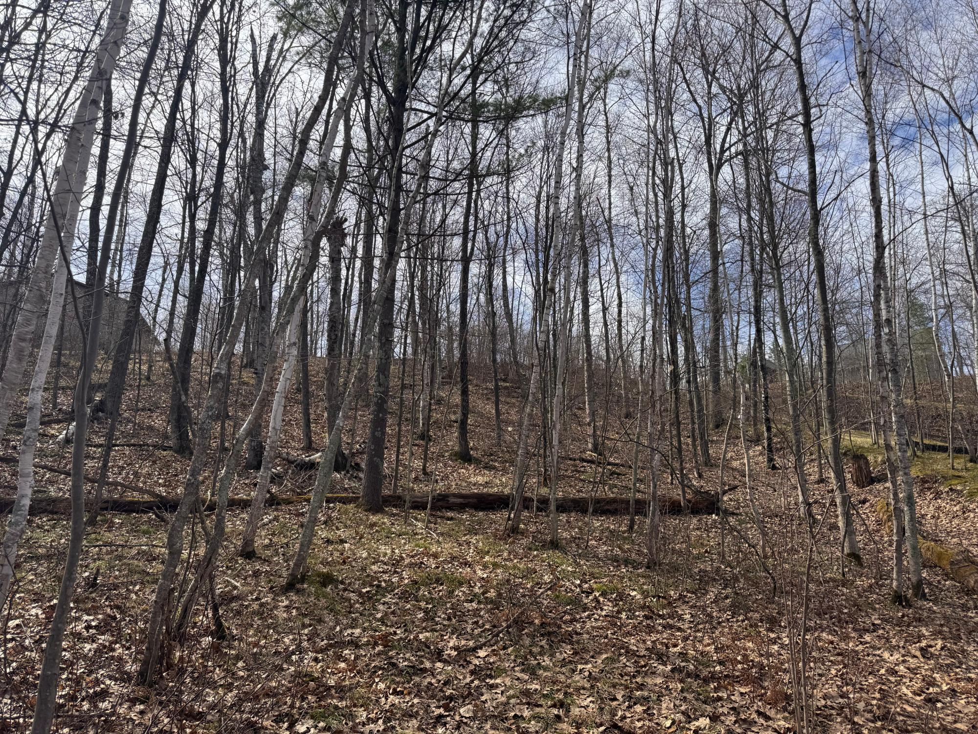Little Bearskin Lake Property ON Jackson Heights Rd Photo 8
