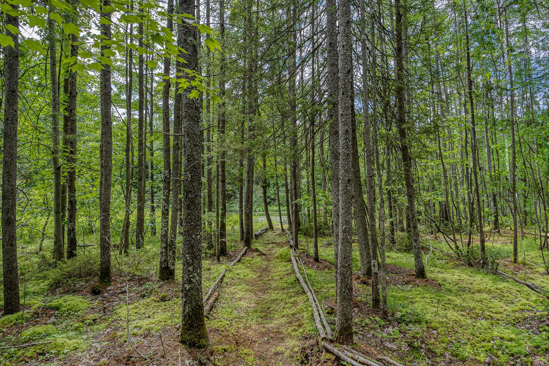 Birch Lake (M) Property 5548 Bertland Rd Photo 57