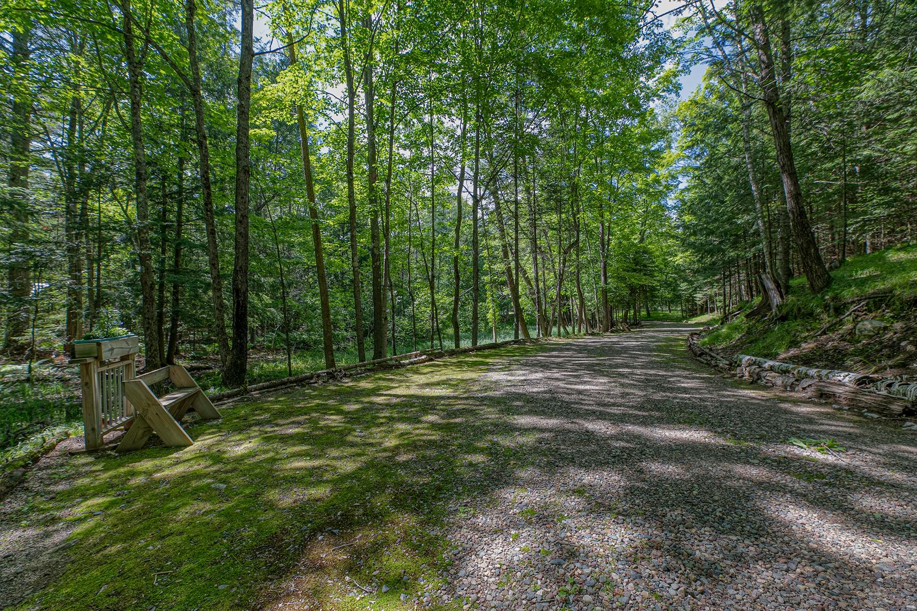Birch Lake (M) Property 5548 Bertland Rd Photo 63